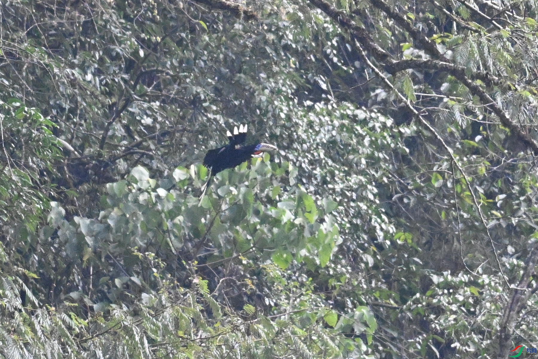 DSC_9900.JPG