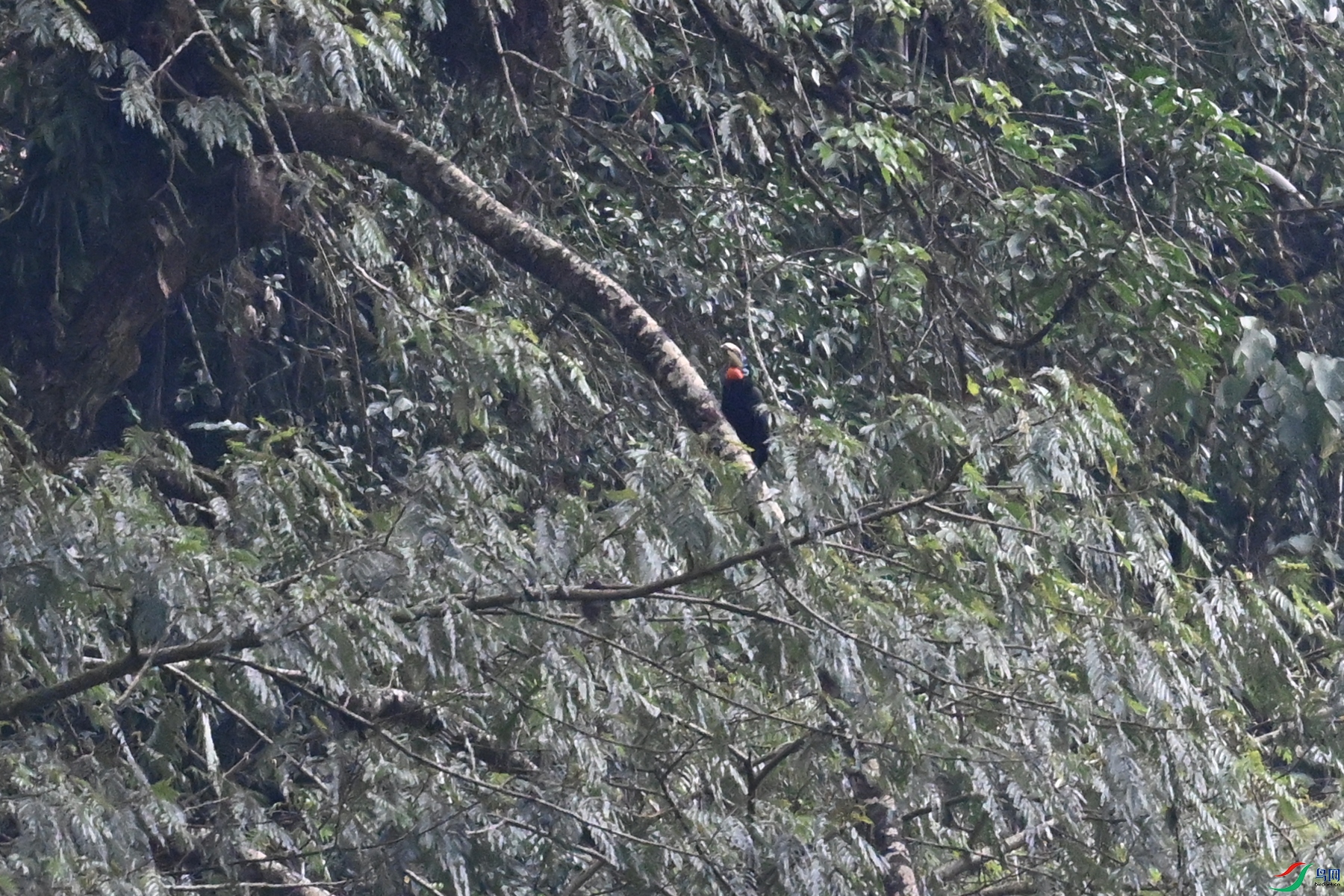 DSC_9887.JPG