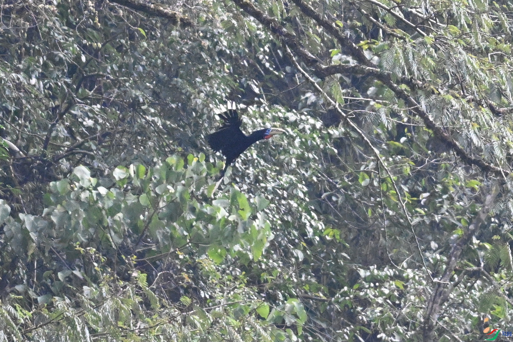DSC_9903.JPG