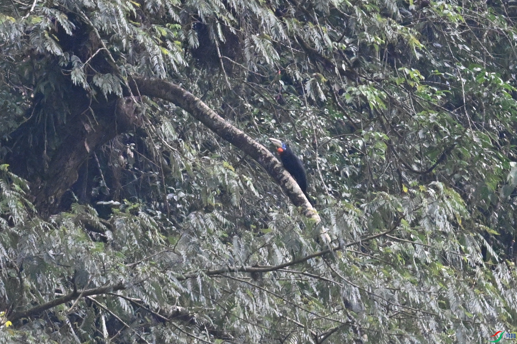 DSC_9889.JPG