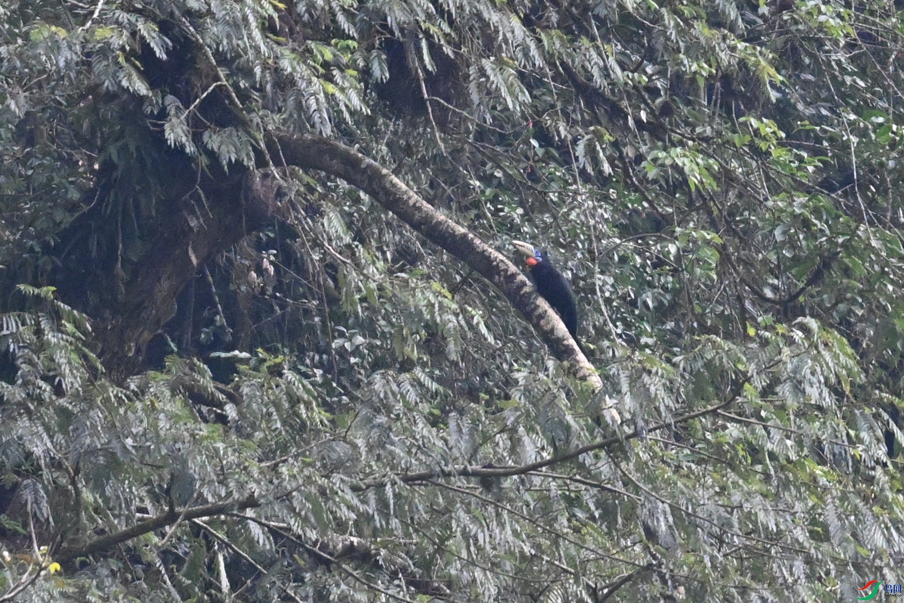 DSC_9890.JPG