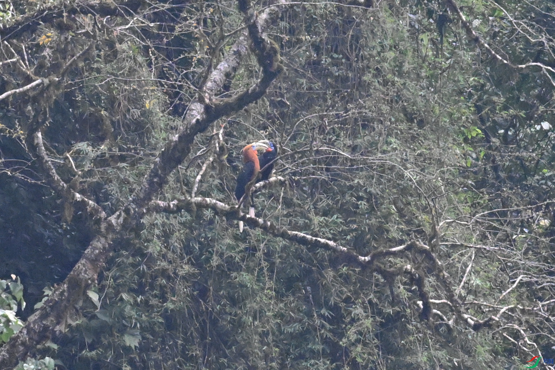 DSC_9936.JPG