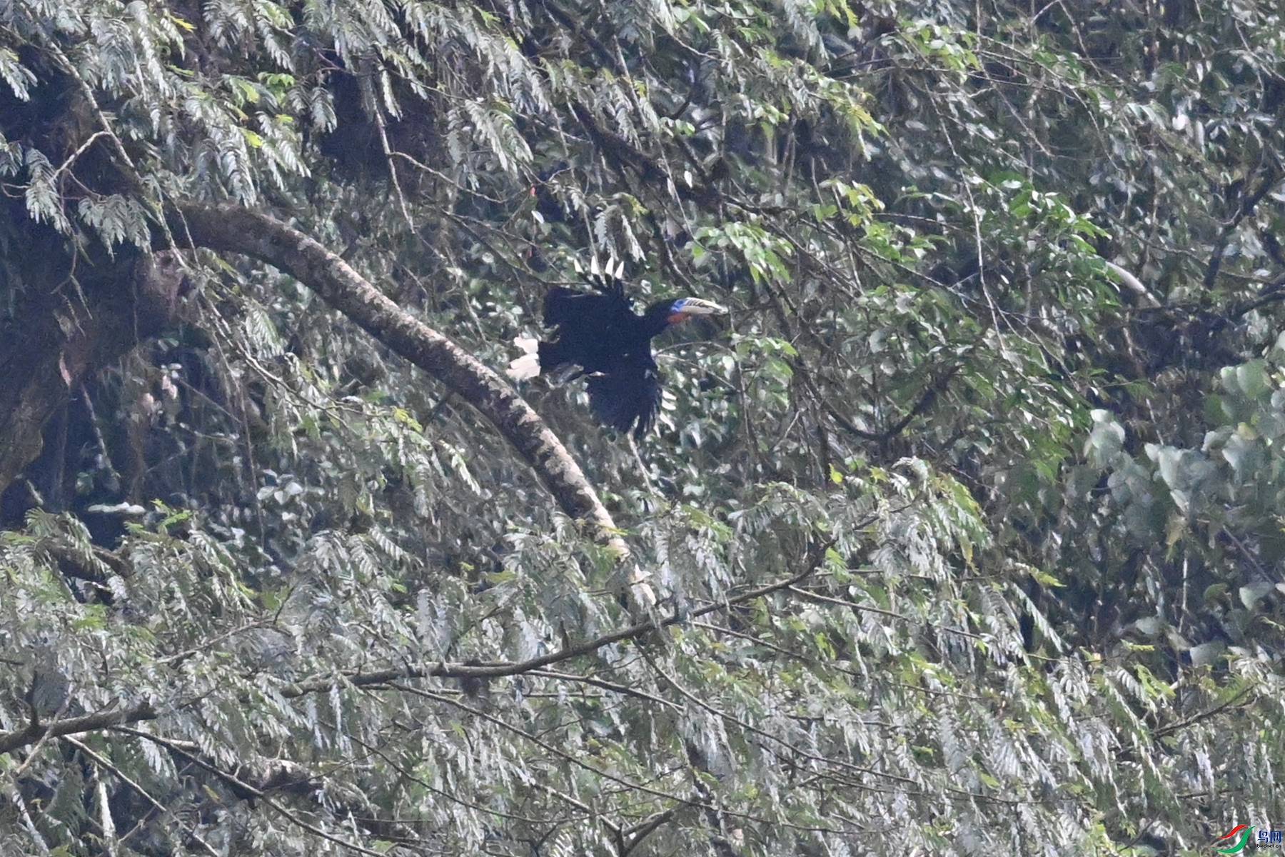 DSC_9895.JPG