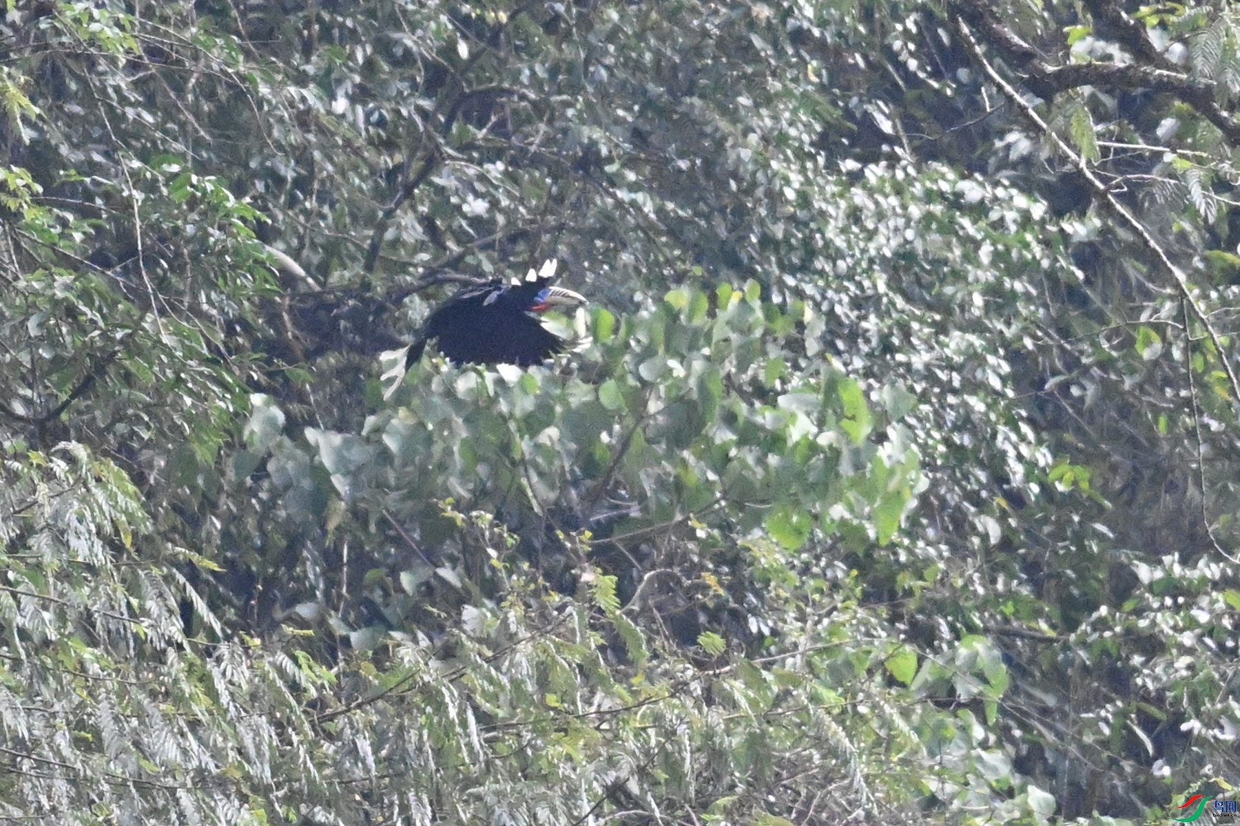 DSC_9897.JPG