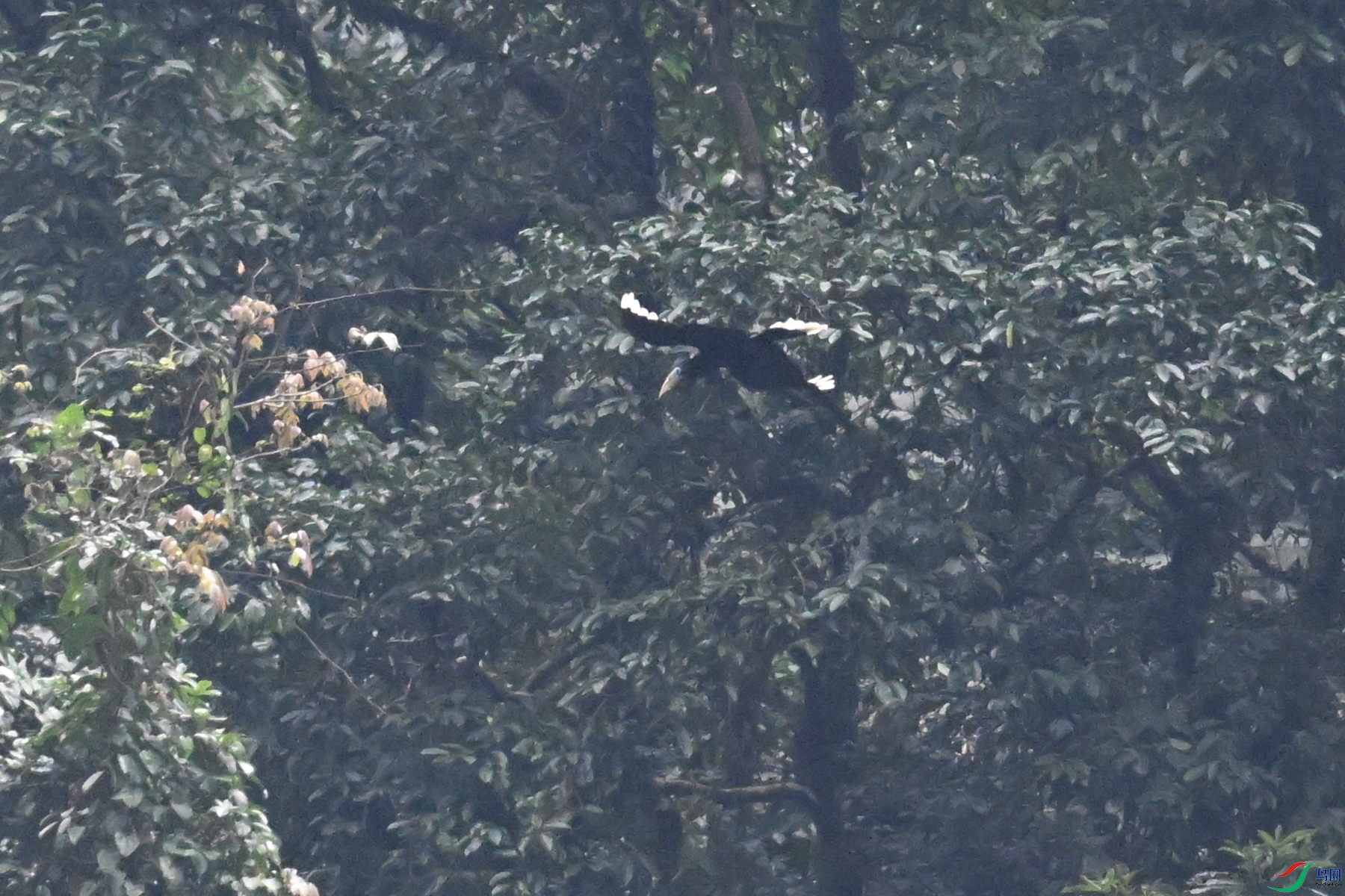 DSC_9927.JPG