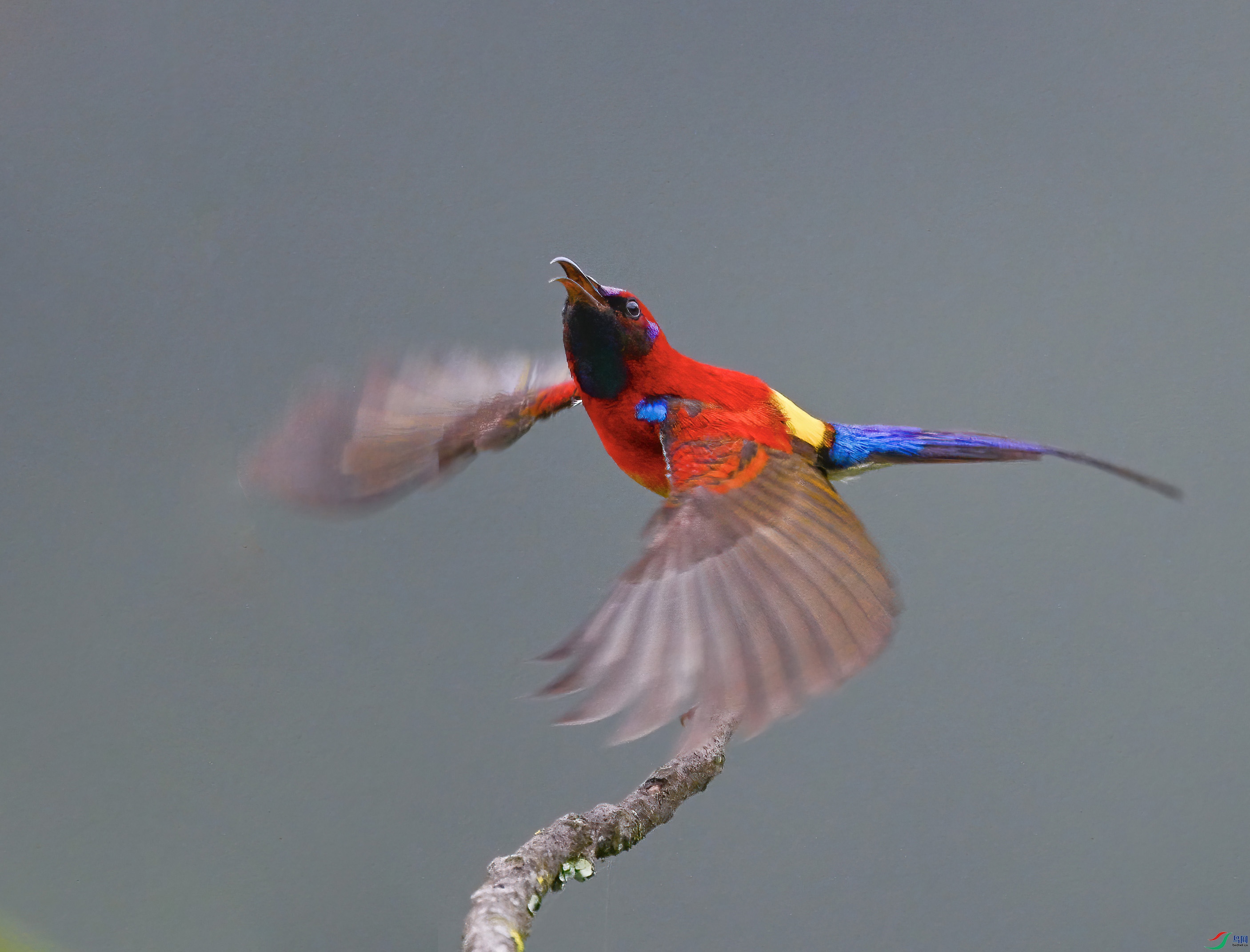 6YM_5986-1.jpg