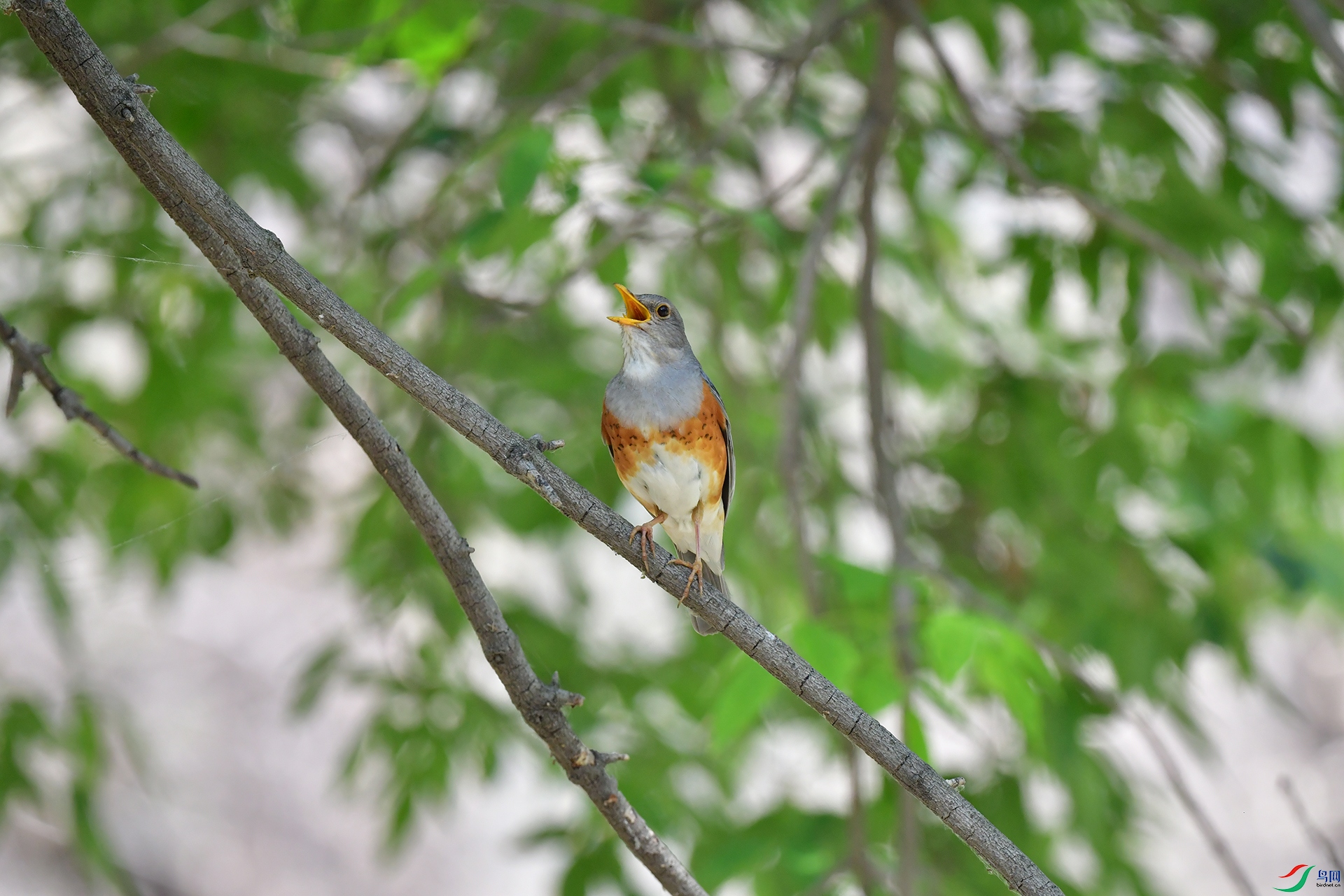 DSC_2717.jpg