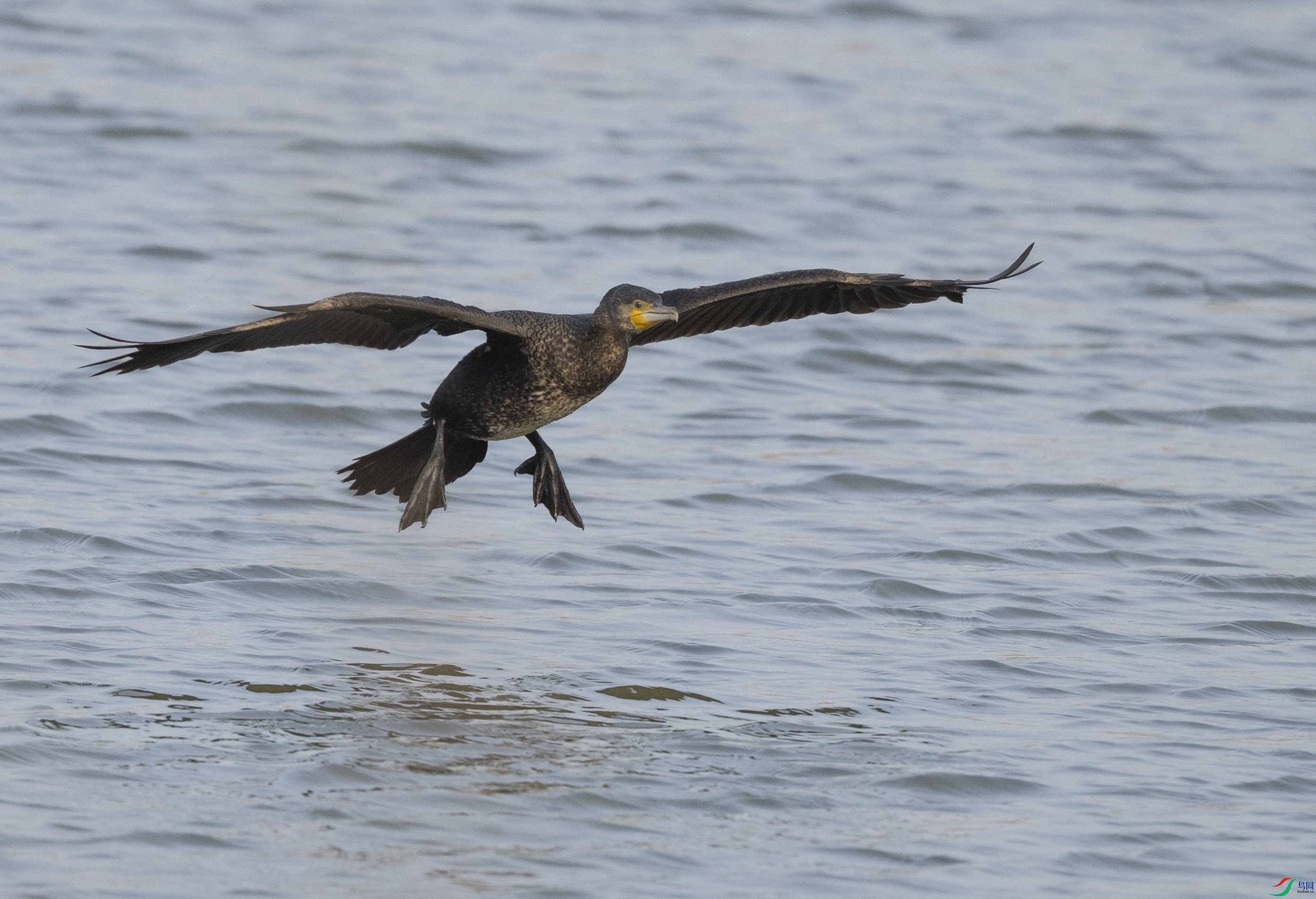 DSC_1272.jpg