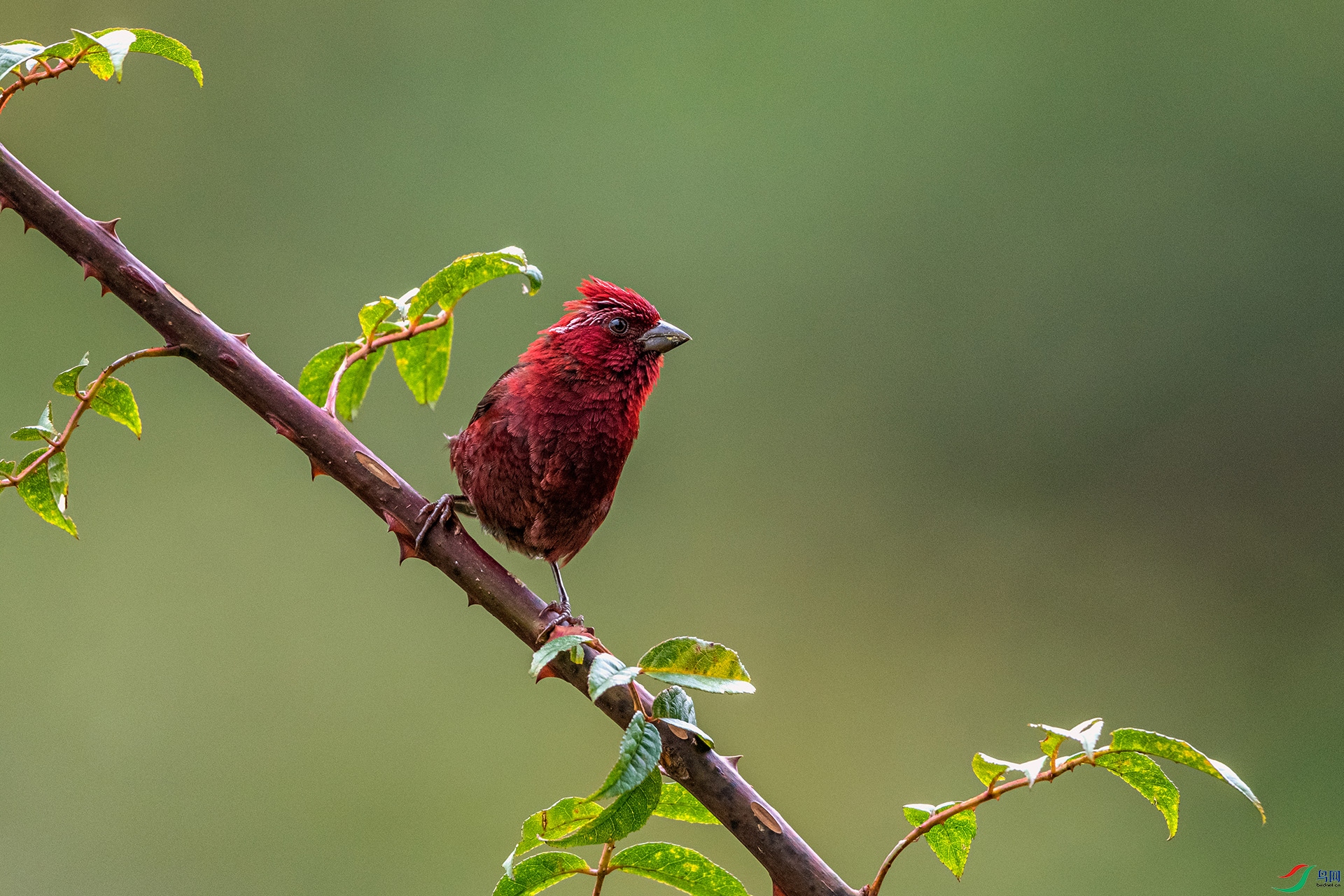 _AUU9509 �ƺ���ȸ(25.8.26).jpg