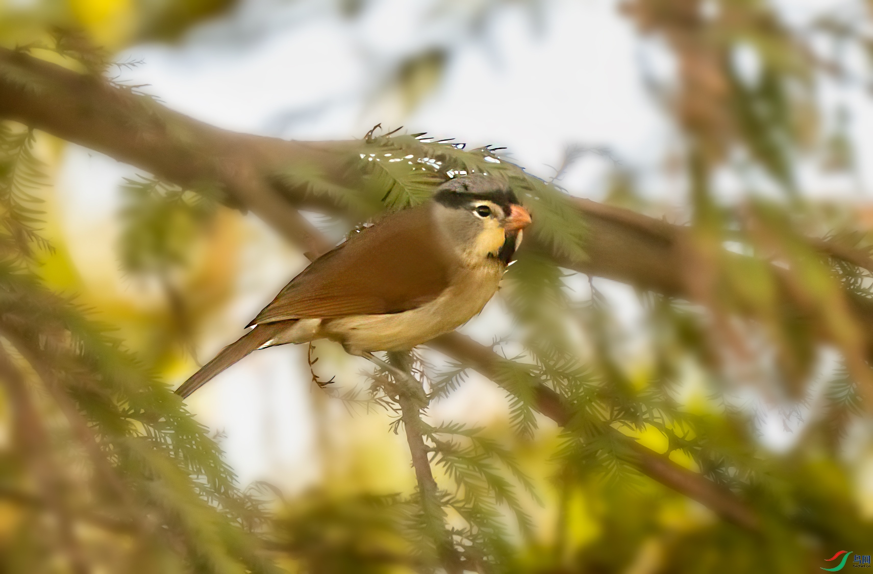DSC_4945-1.jpg