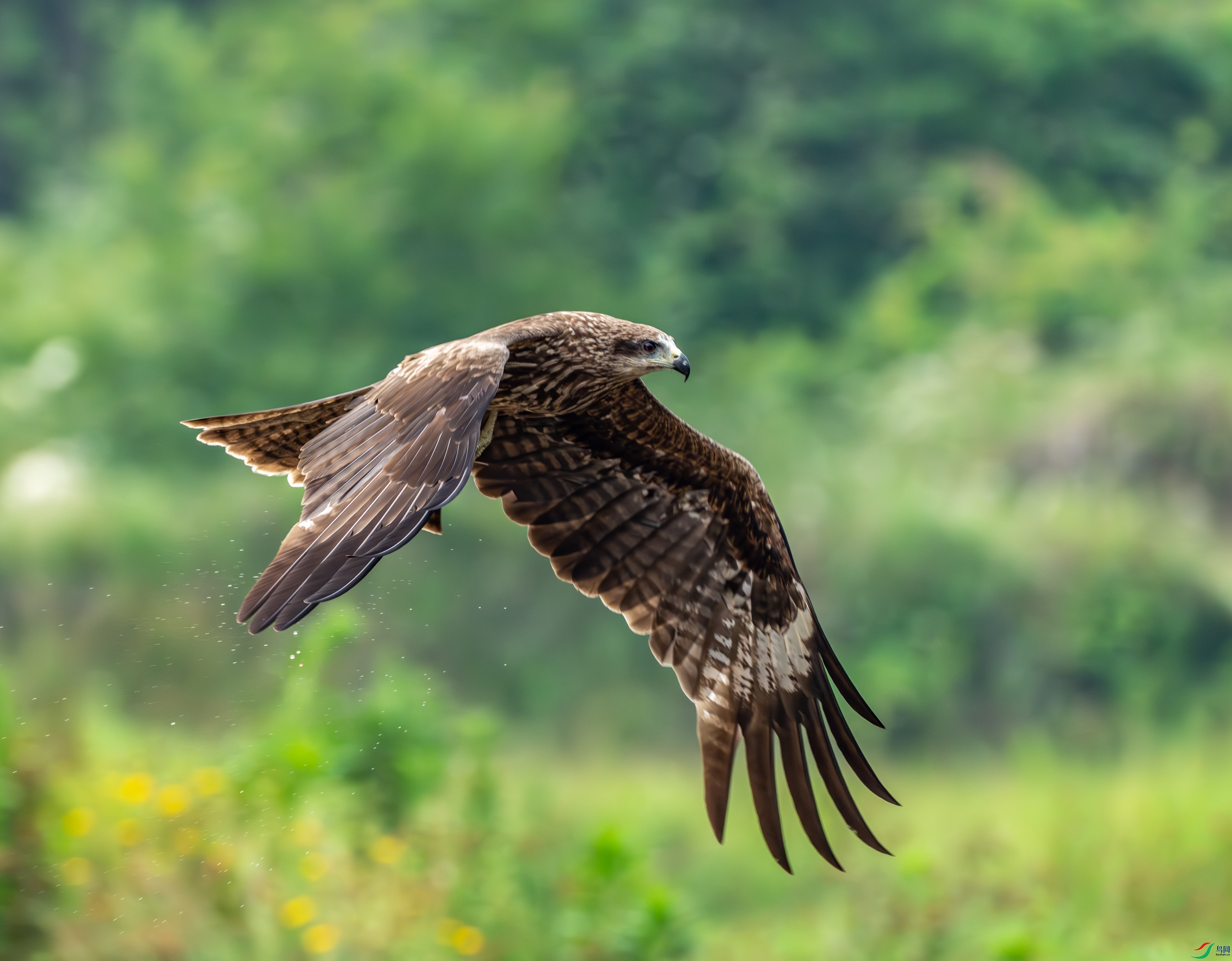 ��� (18 - 253).jpg