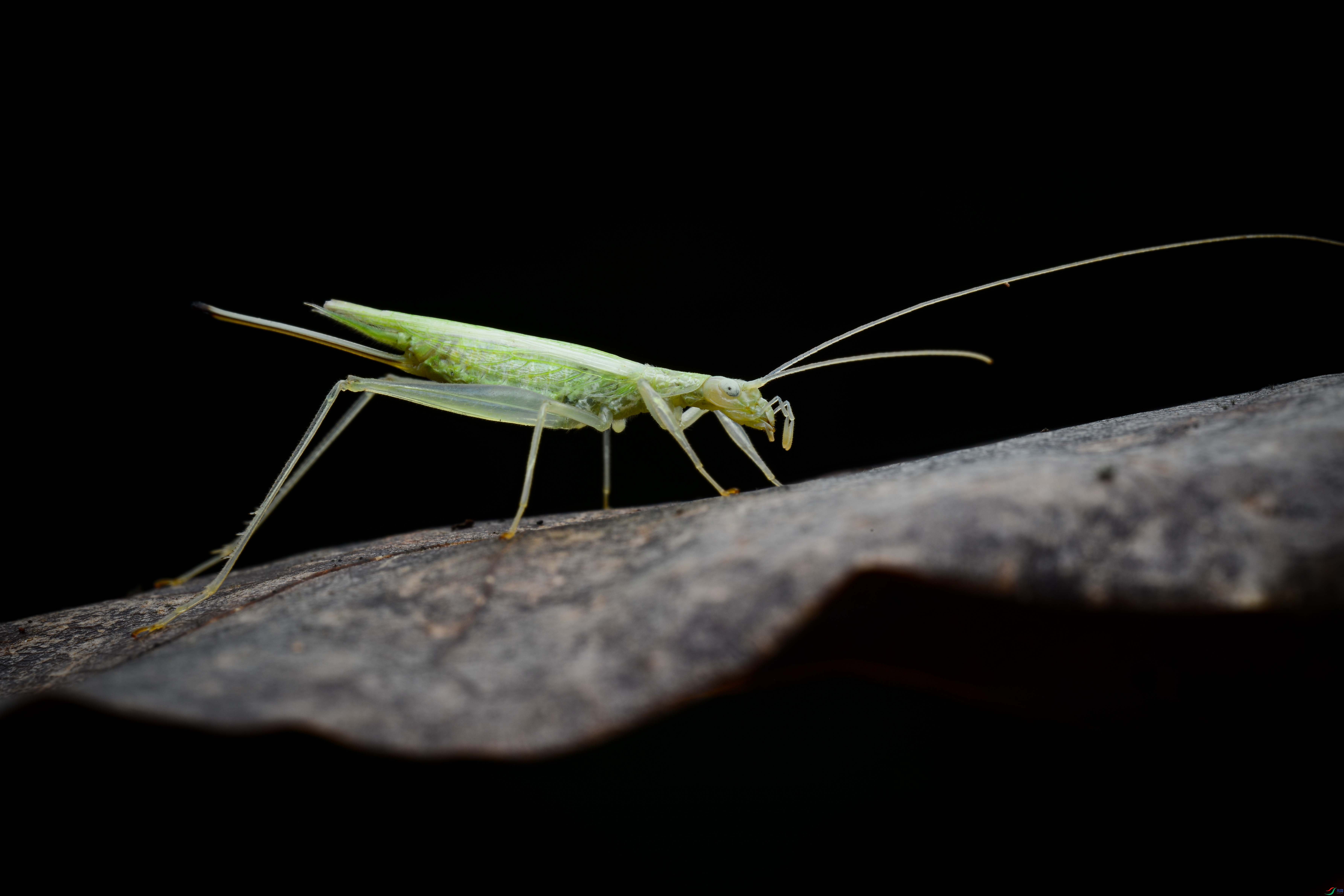 DSC_5626.JPG
