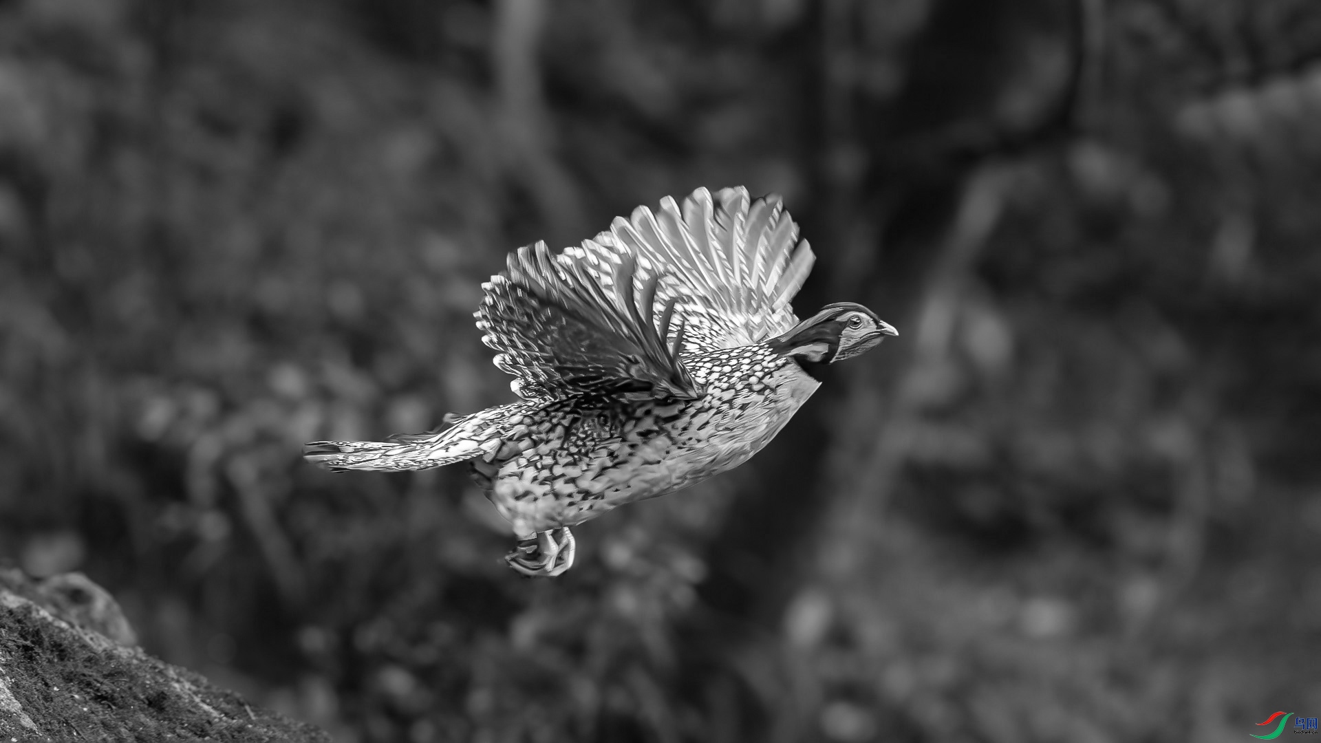 0V6A9486-����ǿ-NR.jpg