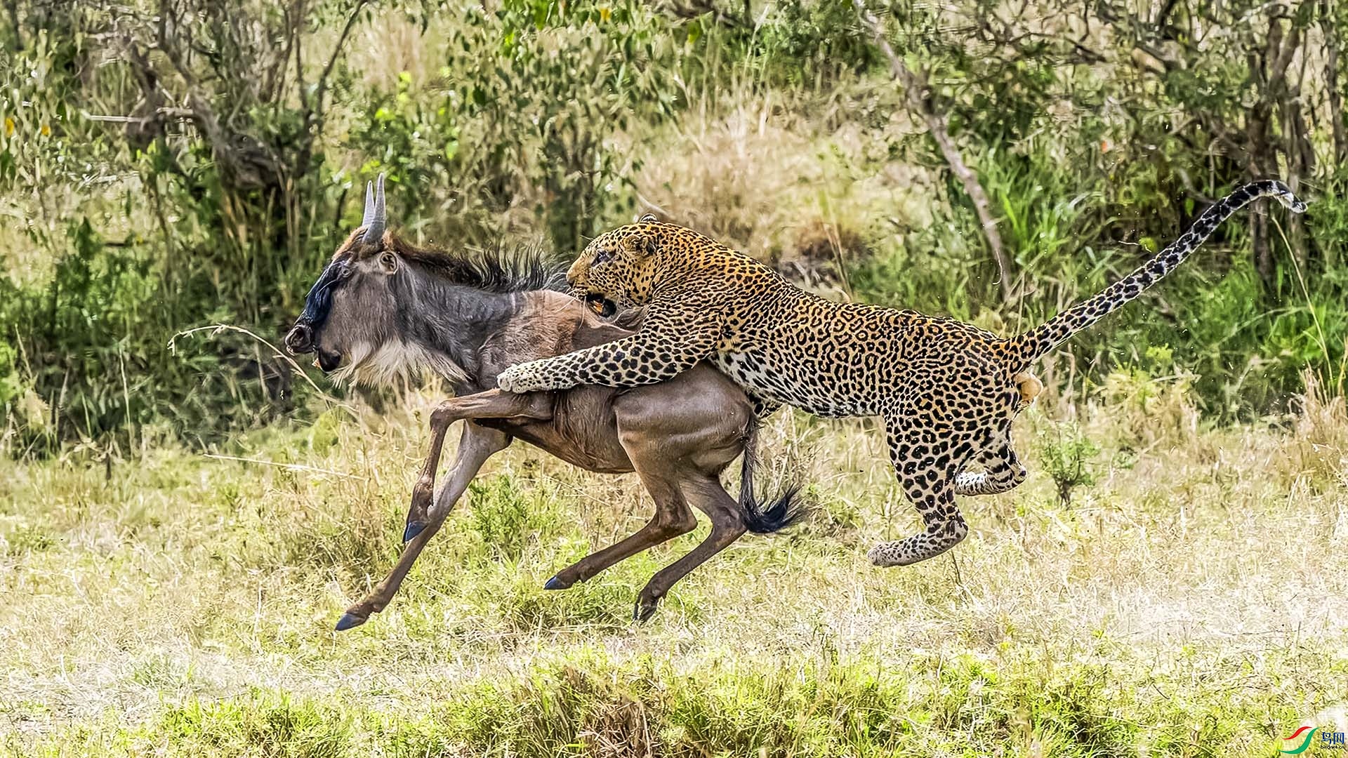 224539ug7egmeyg4zoz5cj.jpg