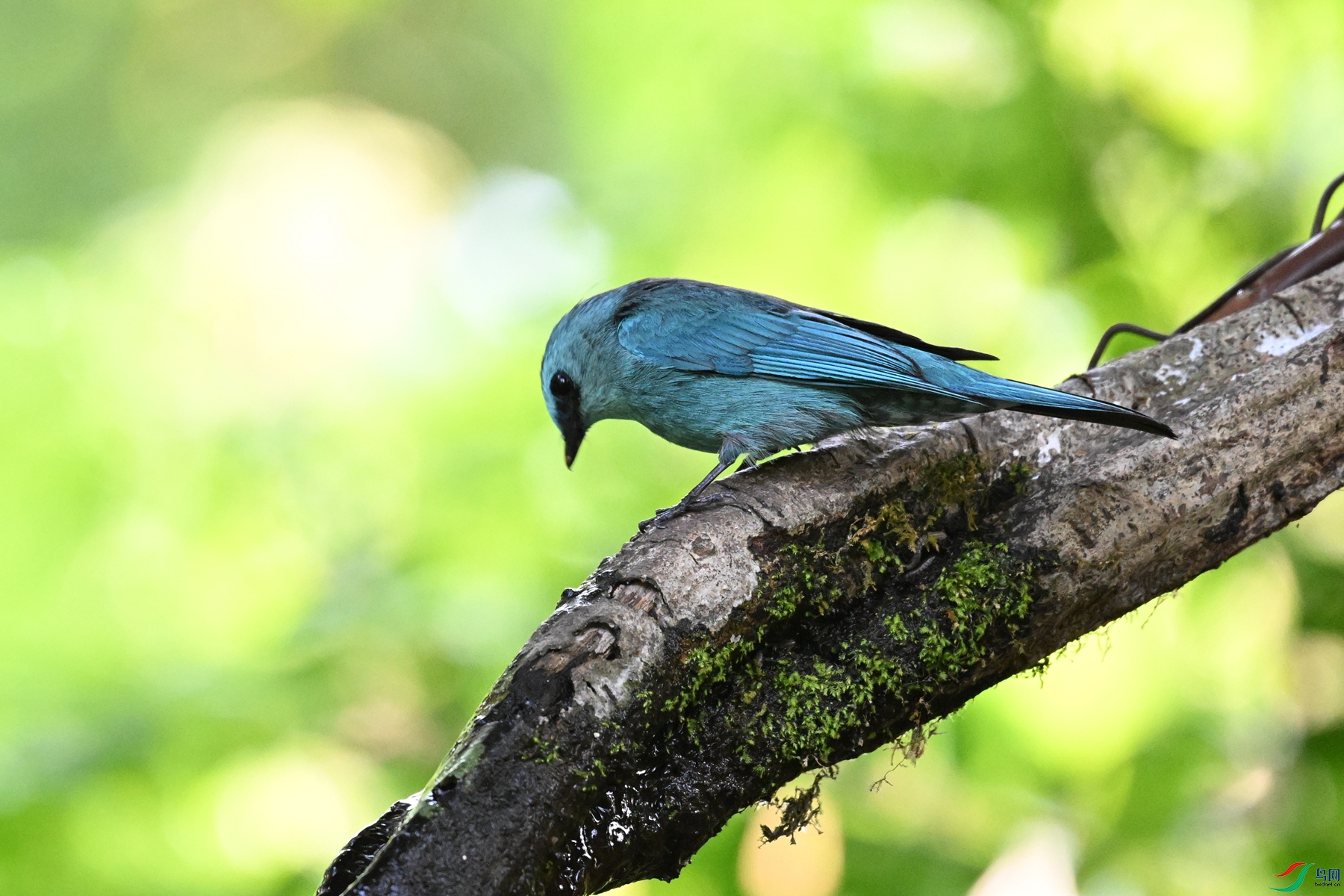 DSC_5686.JPG