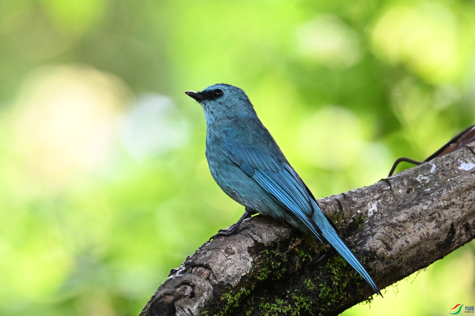 DSC_5690.JPG