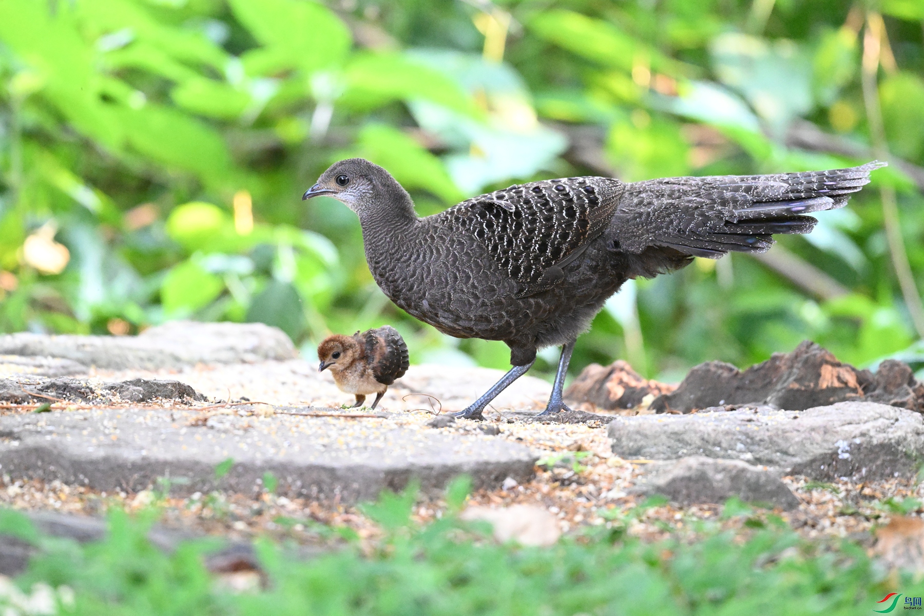 DSC_5697.JPG