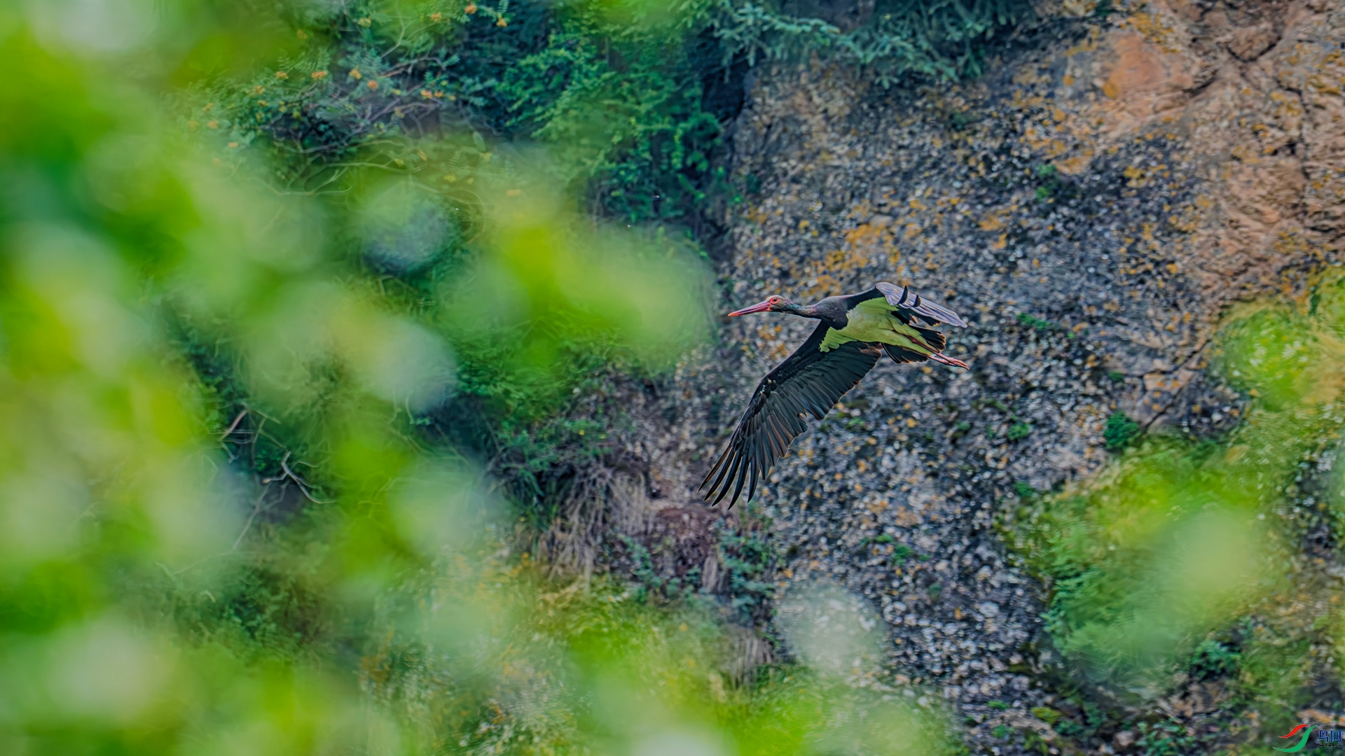 DSC_7435_HDR_����.jpg