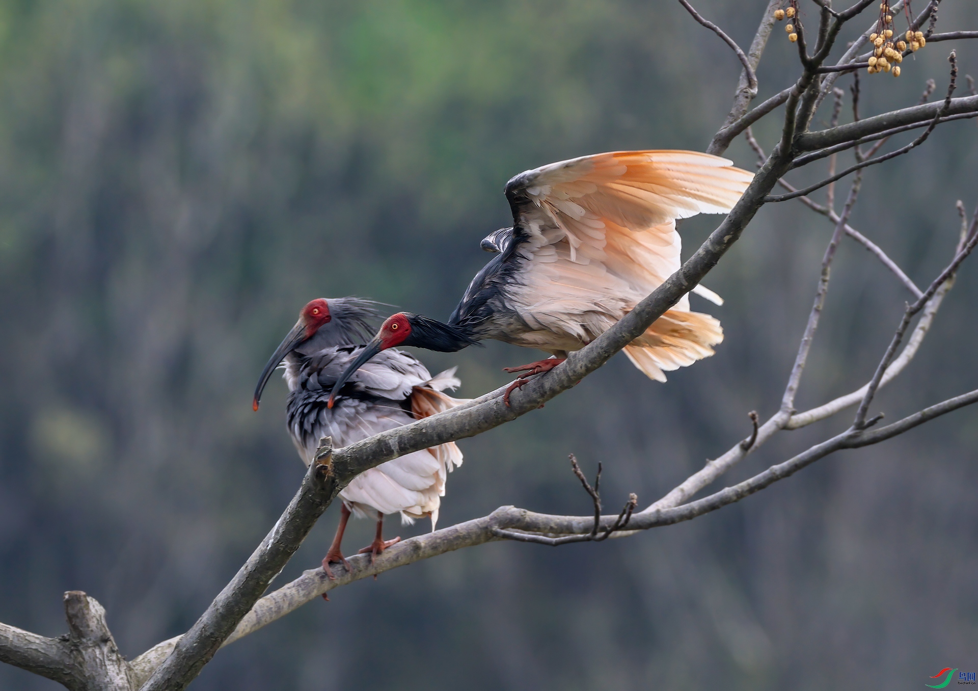 2M8A2403-����13.jpg