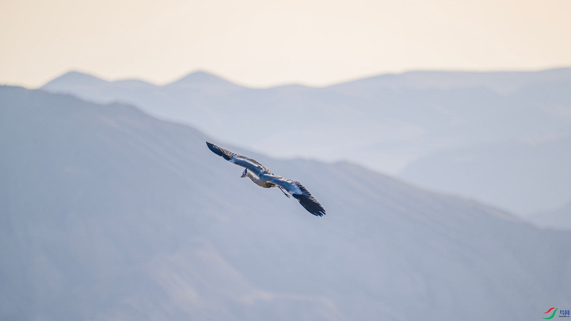 _DSC4635_����.jpg