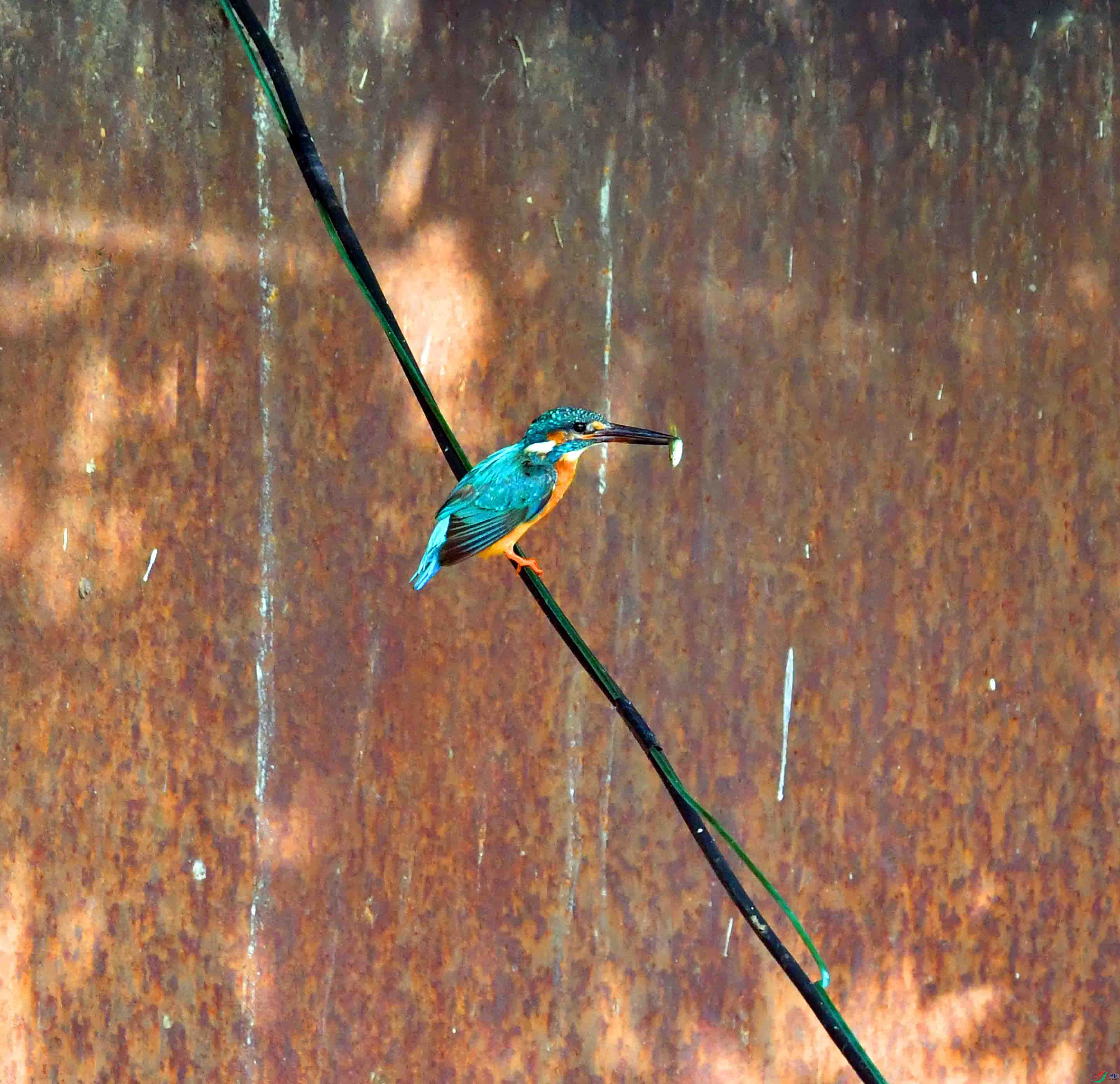 DSC_0356.JPG
