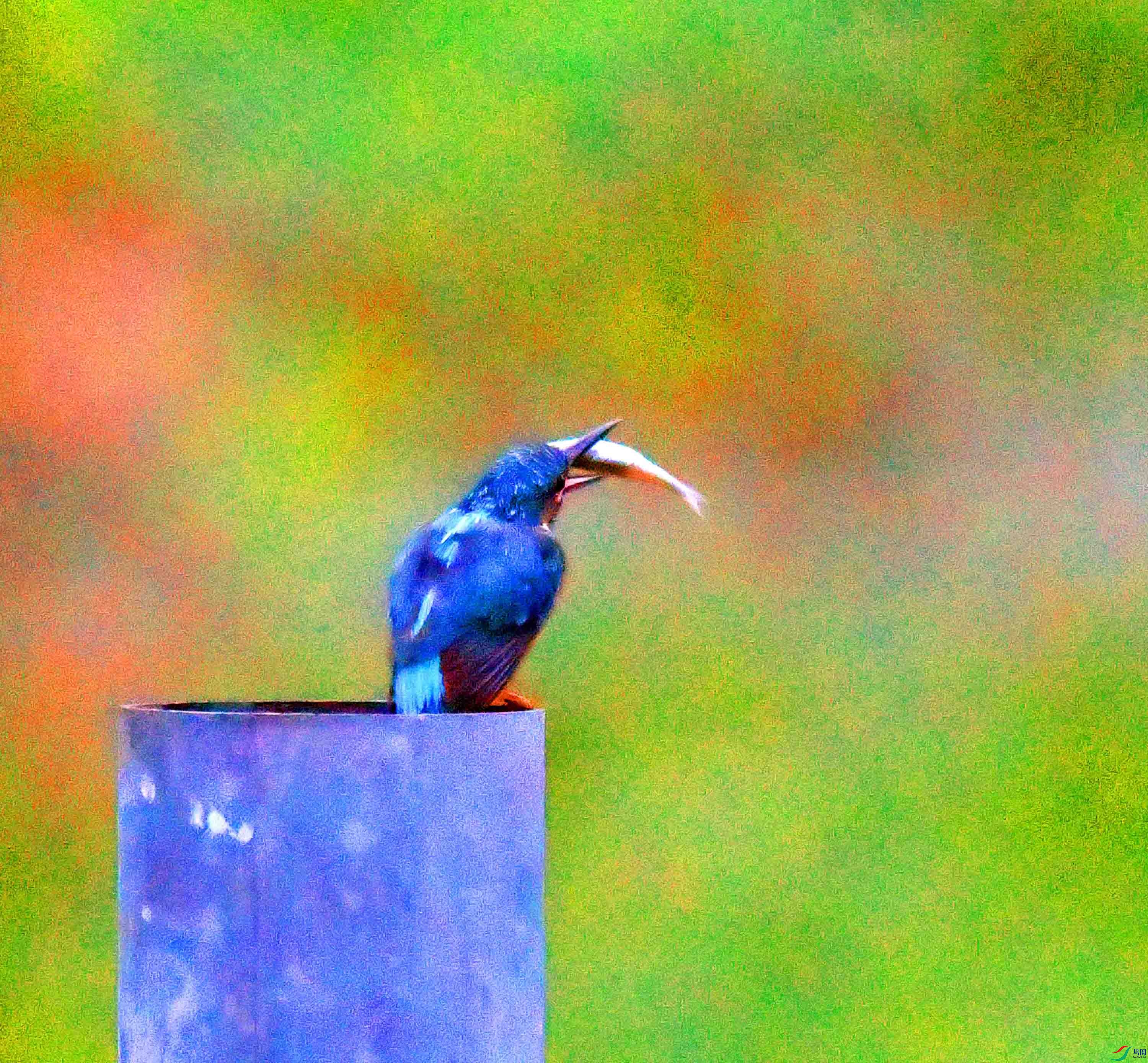 DSC_0635.JPG
