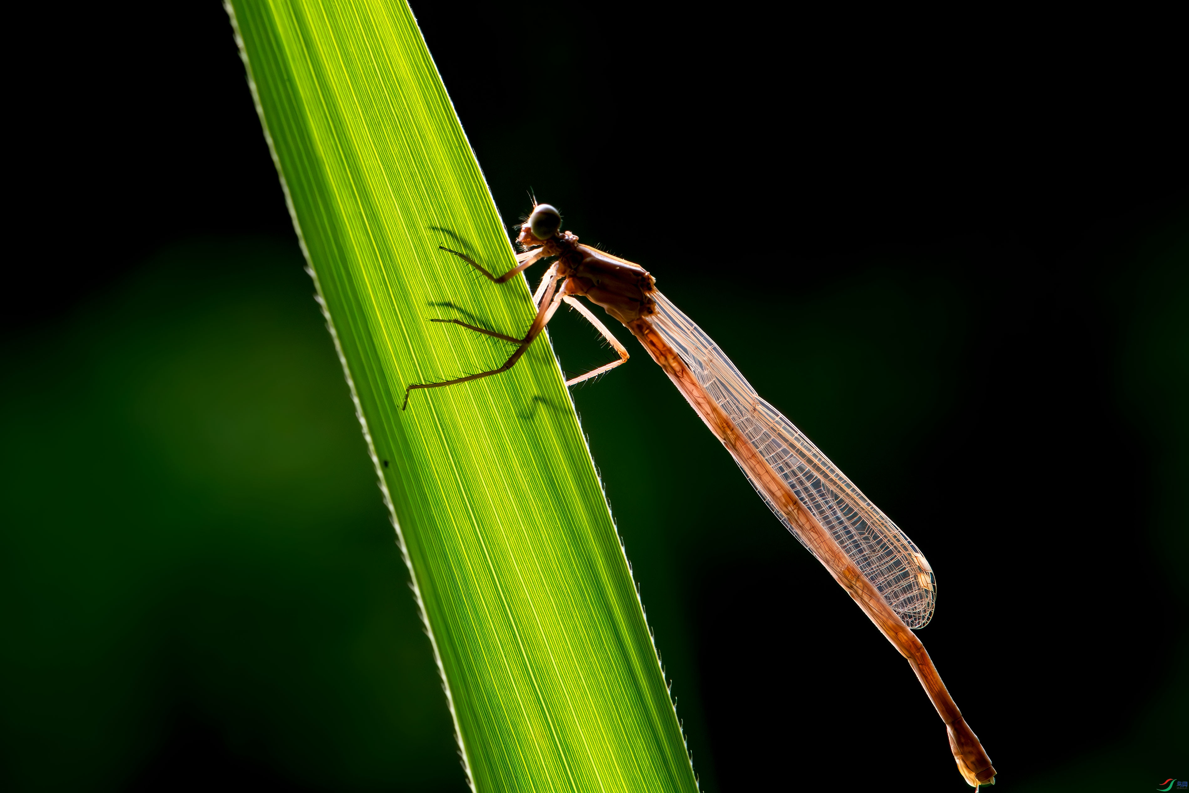 DSC_6344.jpg