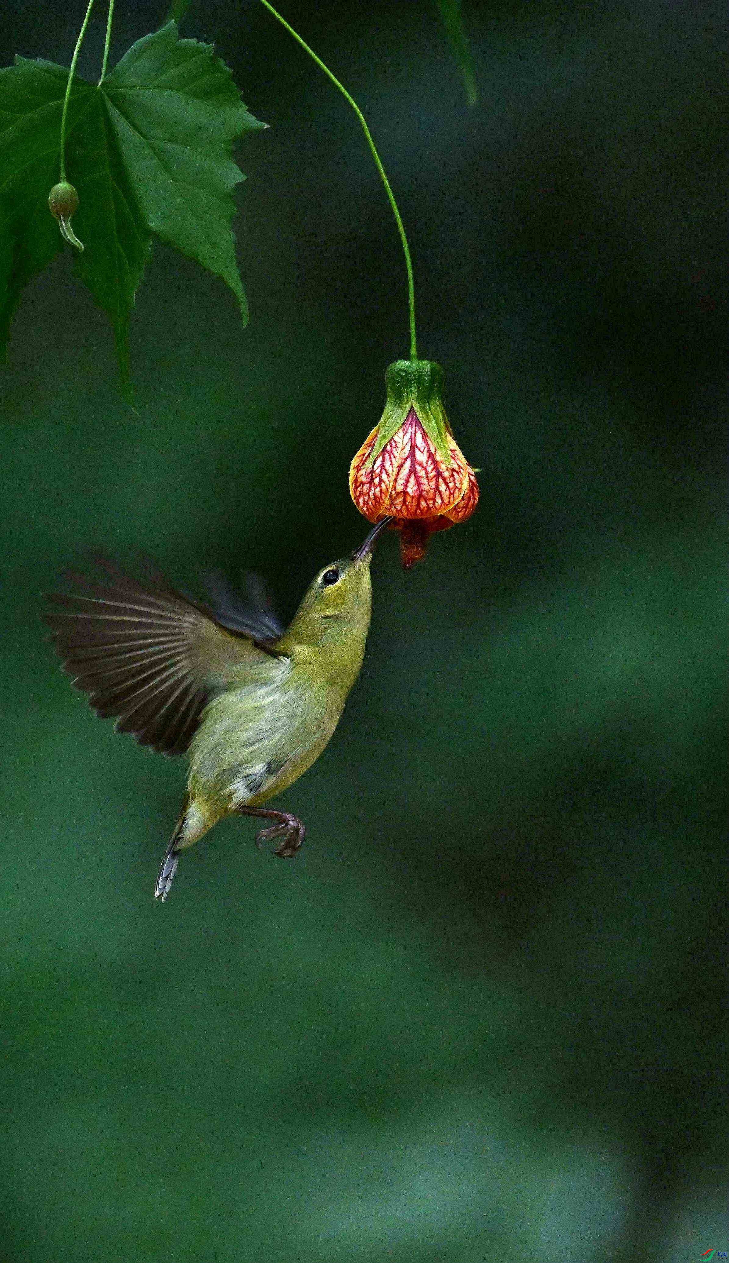 DSC_8700.jpg
