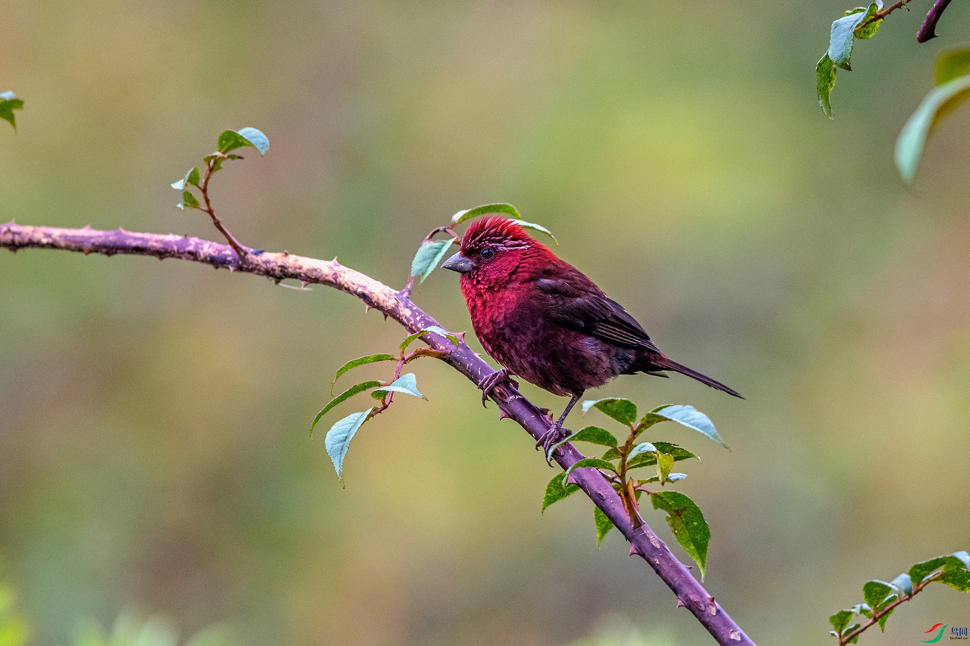 _AUU9448 �ƺ���ȸ(25.8.26).jpg