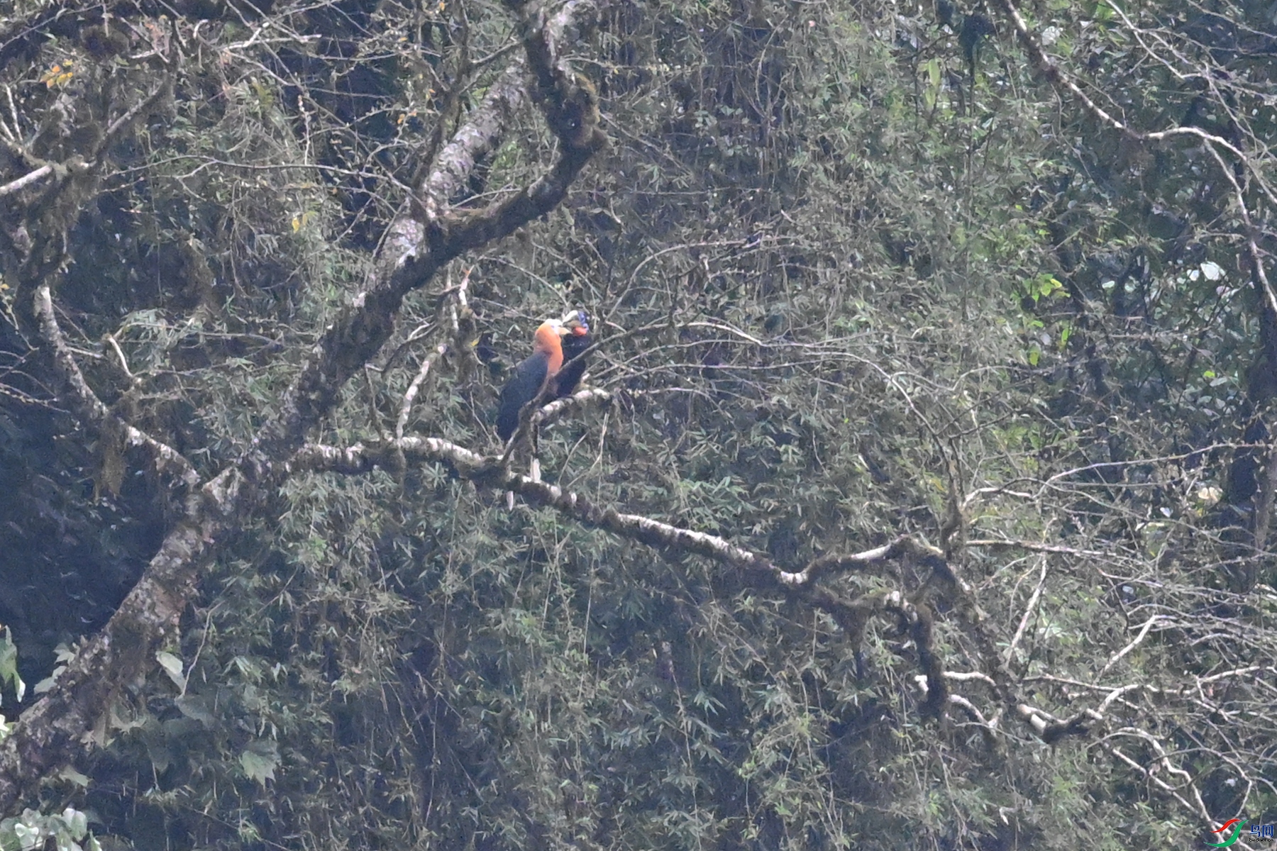 DSC_9945.JPG