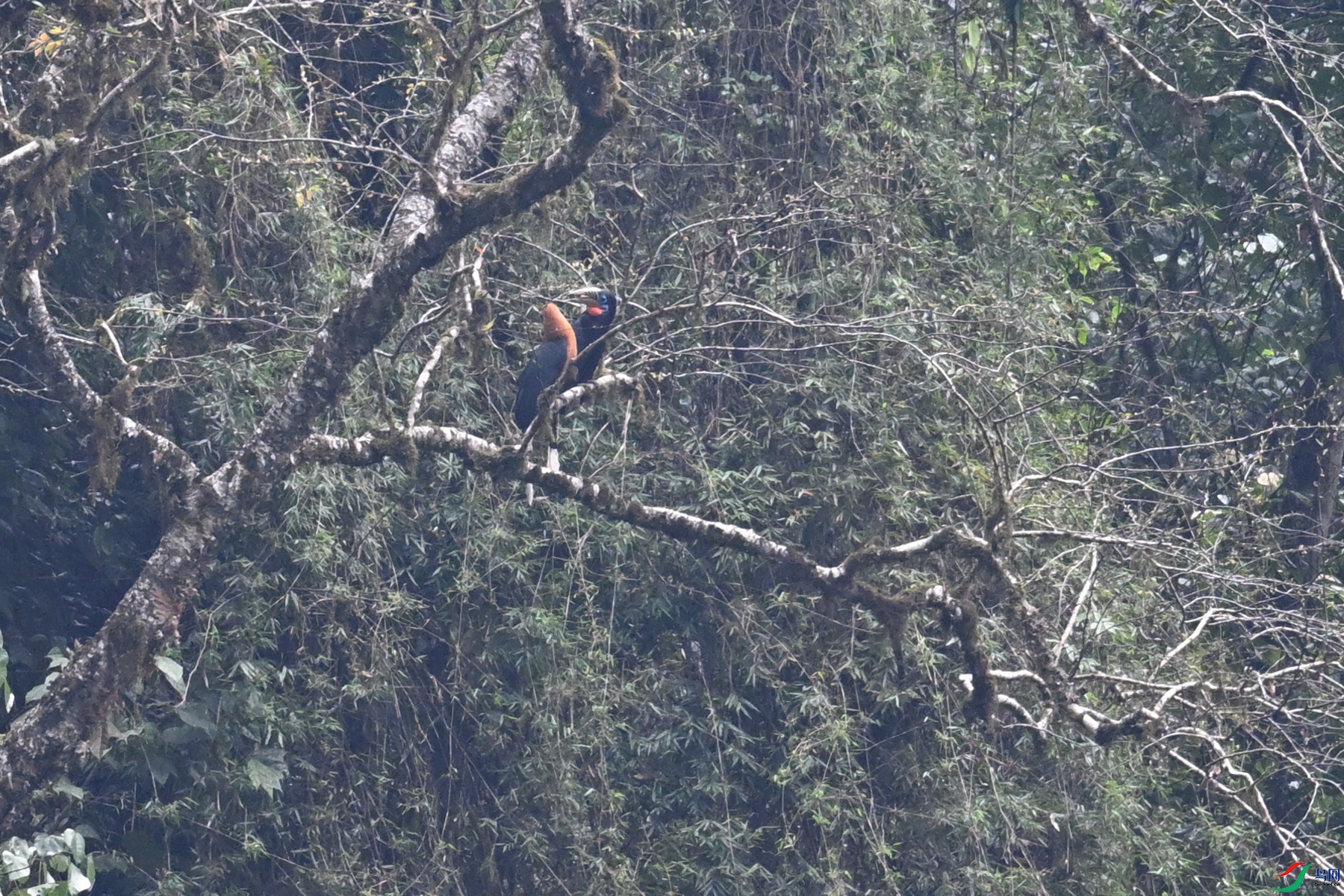 DSC_9951.JPG