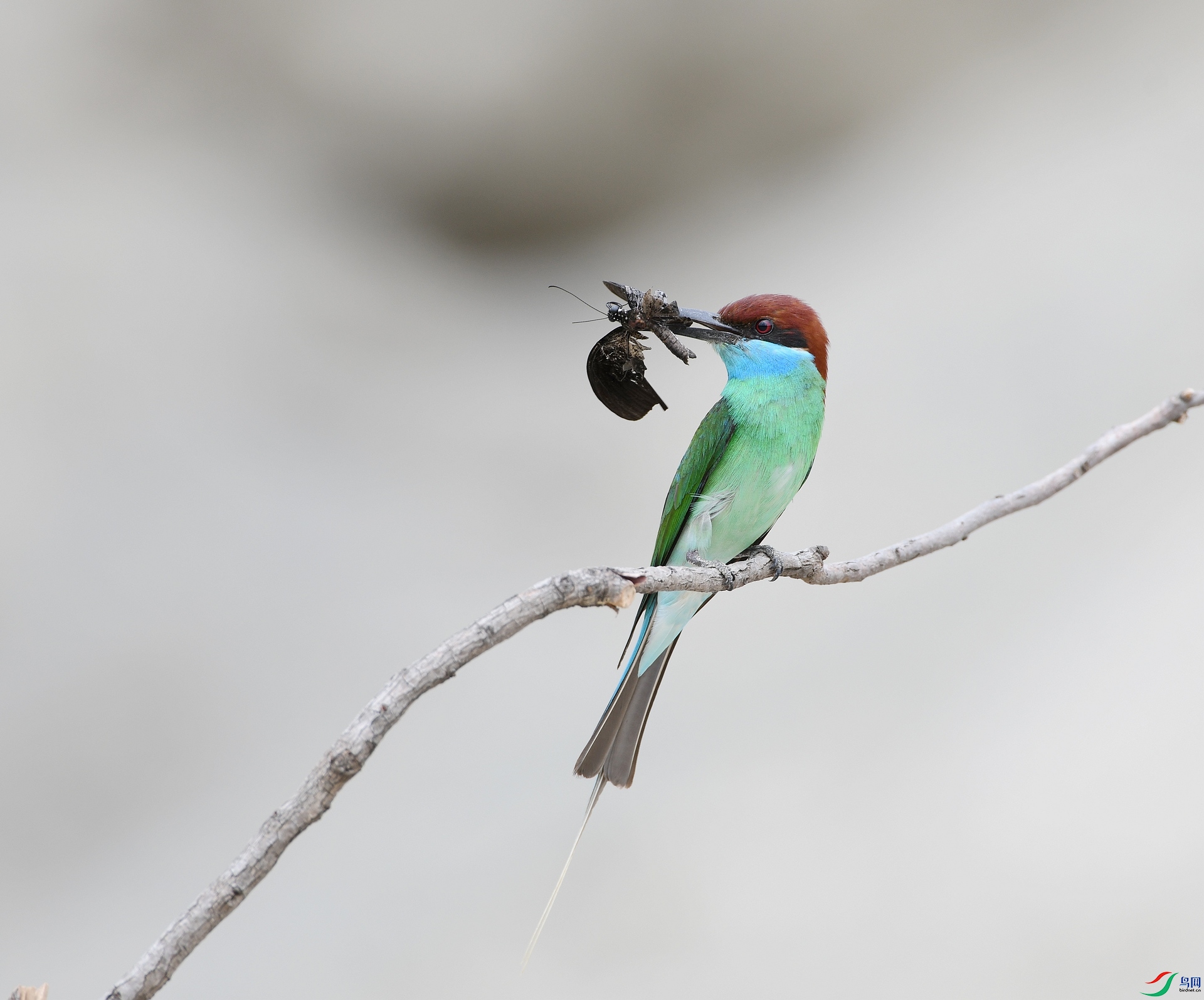 DSC_1750.jpg