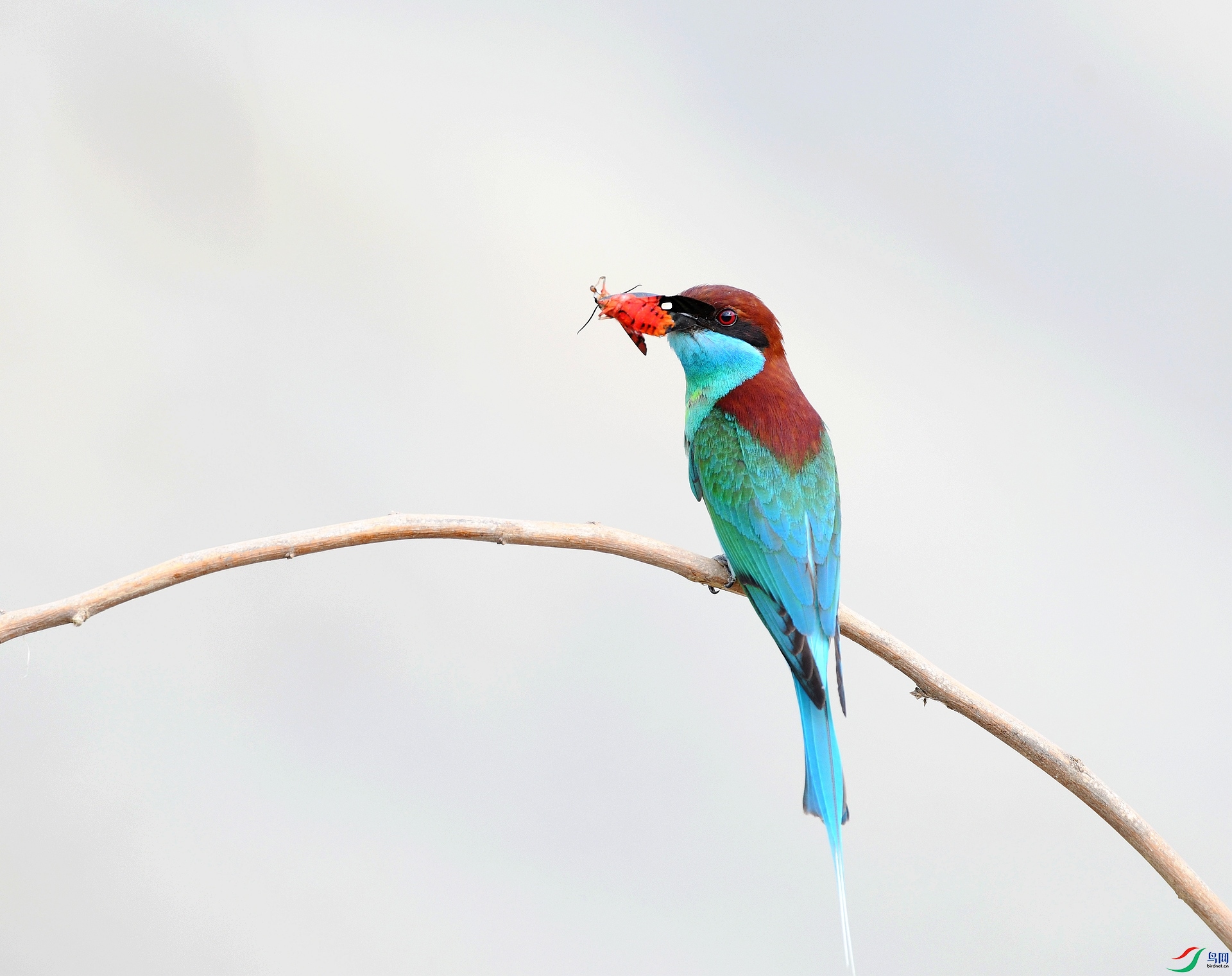 DSC_0574.jpg