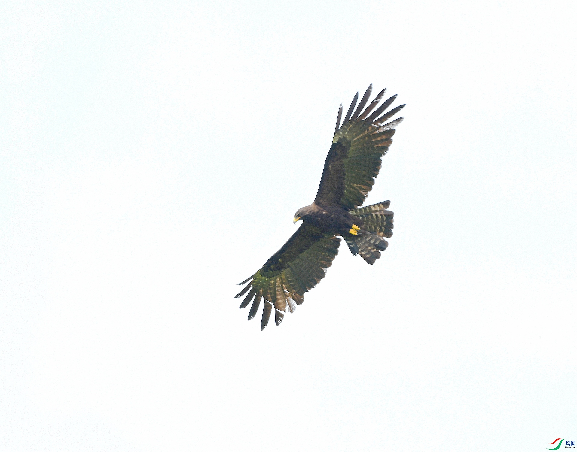 DSC_0570.jpg