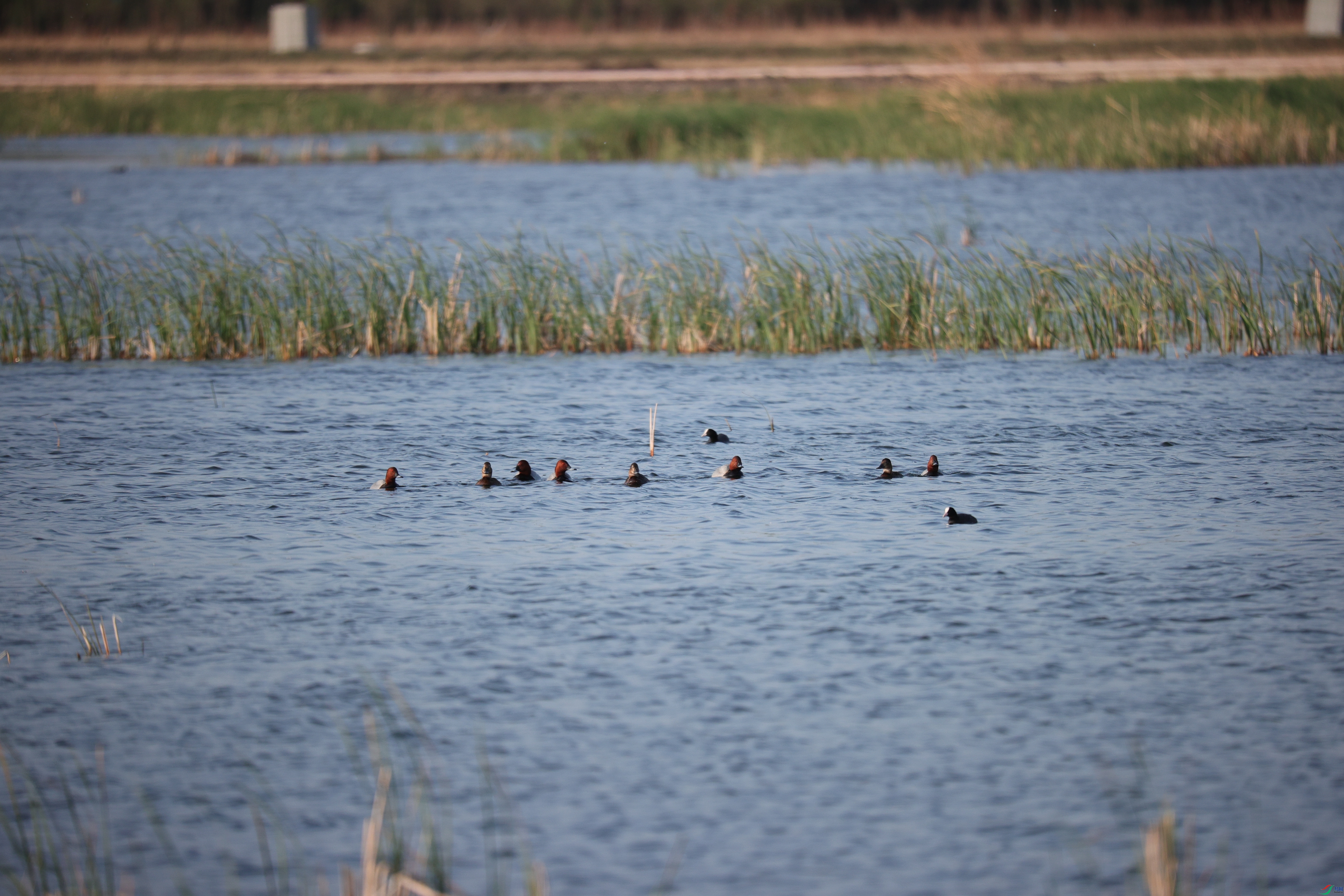 ����22