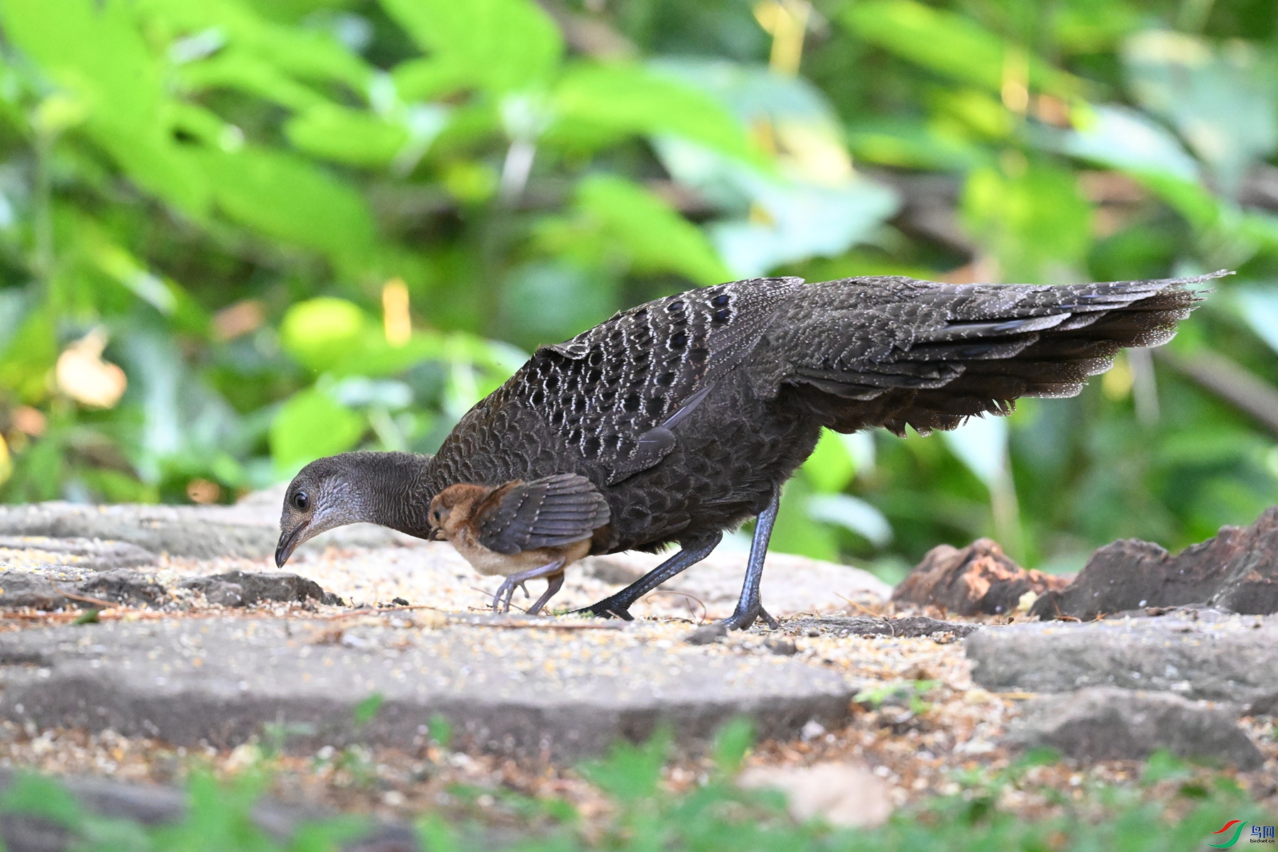 DSC_5713.JPG