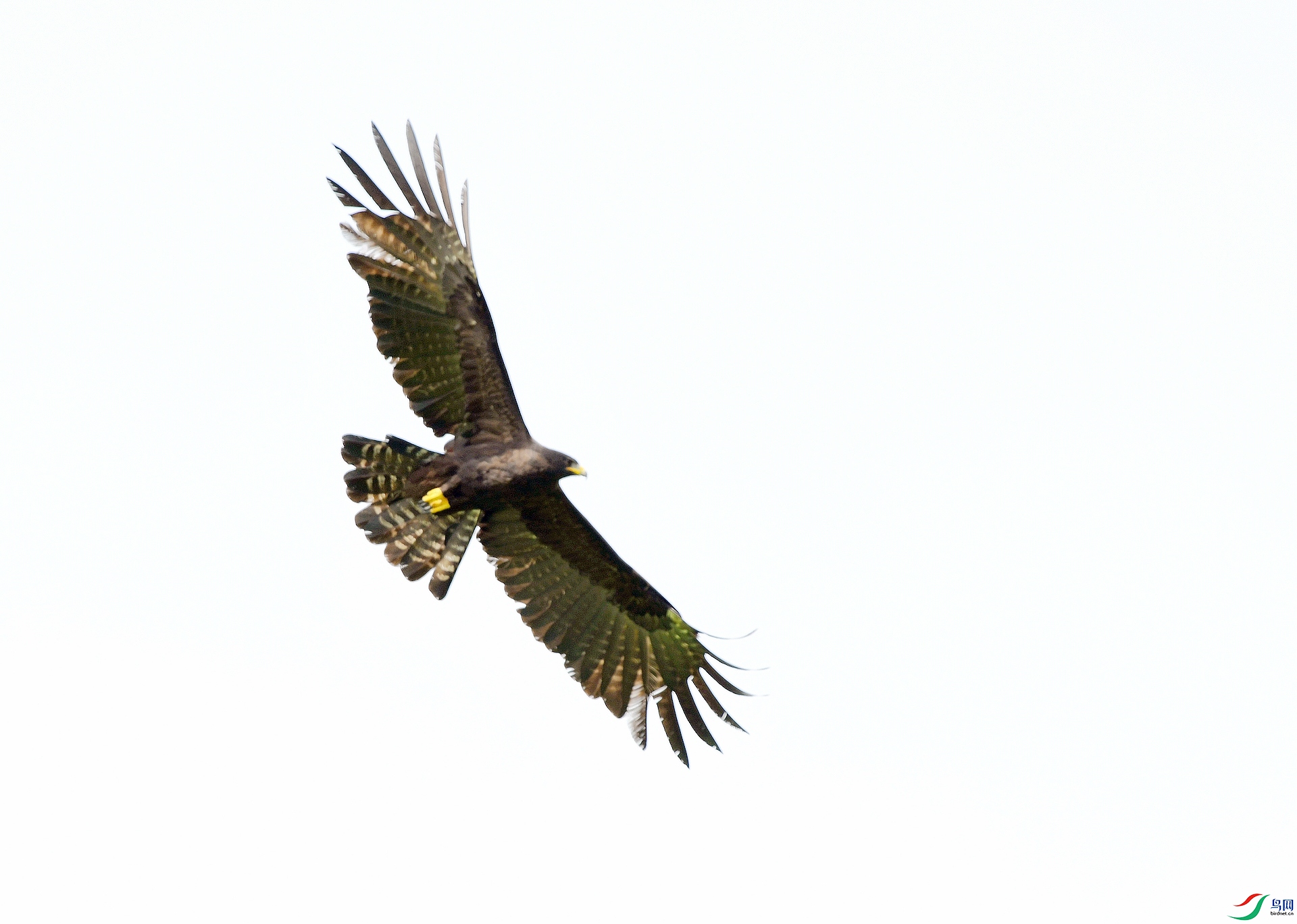 DSC_0552.jpg