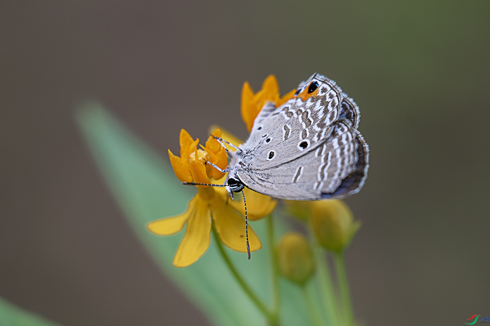 DSC_6765.jpg
