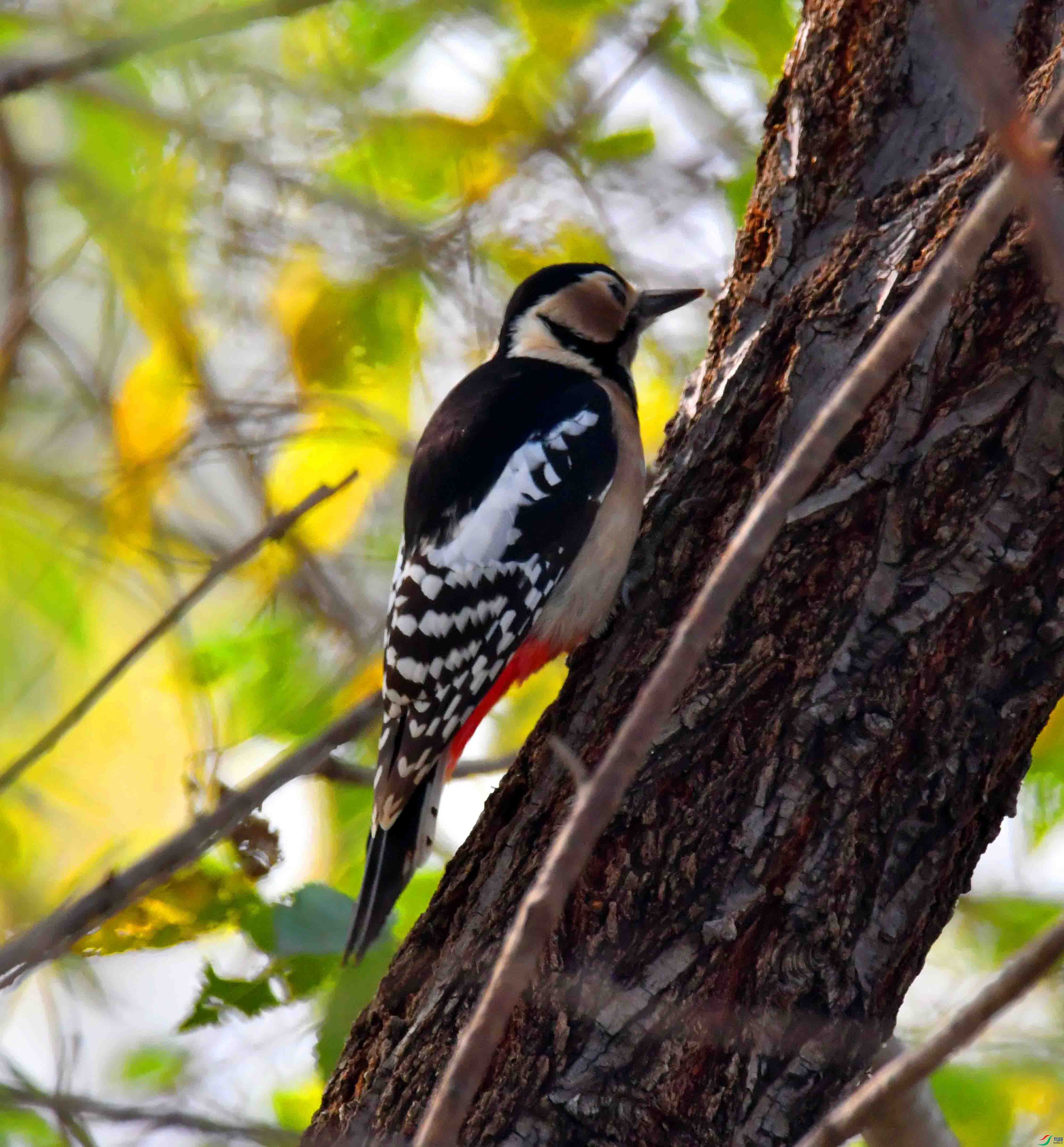 DSC_7563.JPG