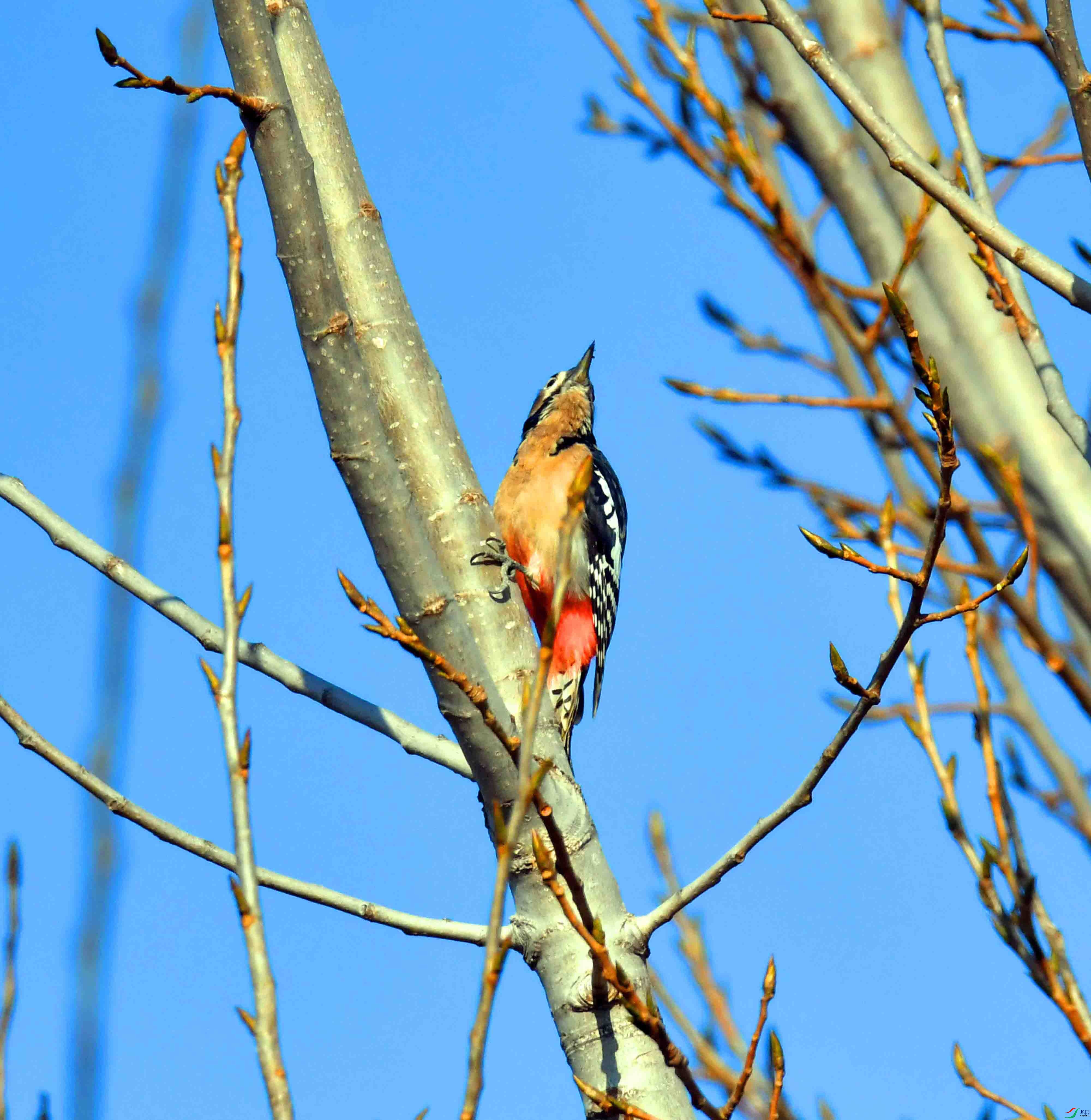 DSC_8741.JPG