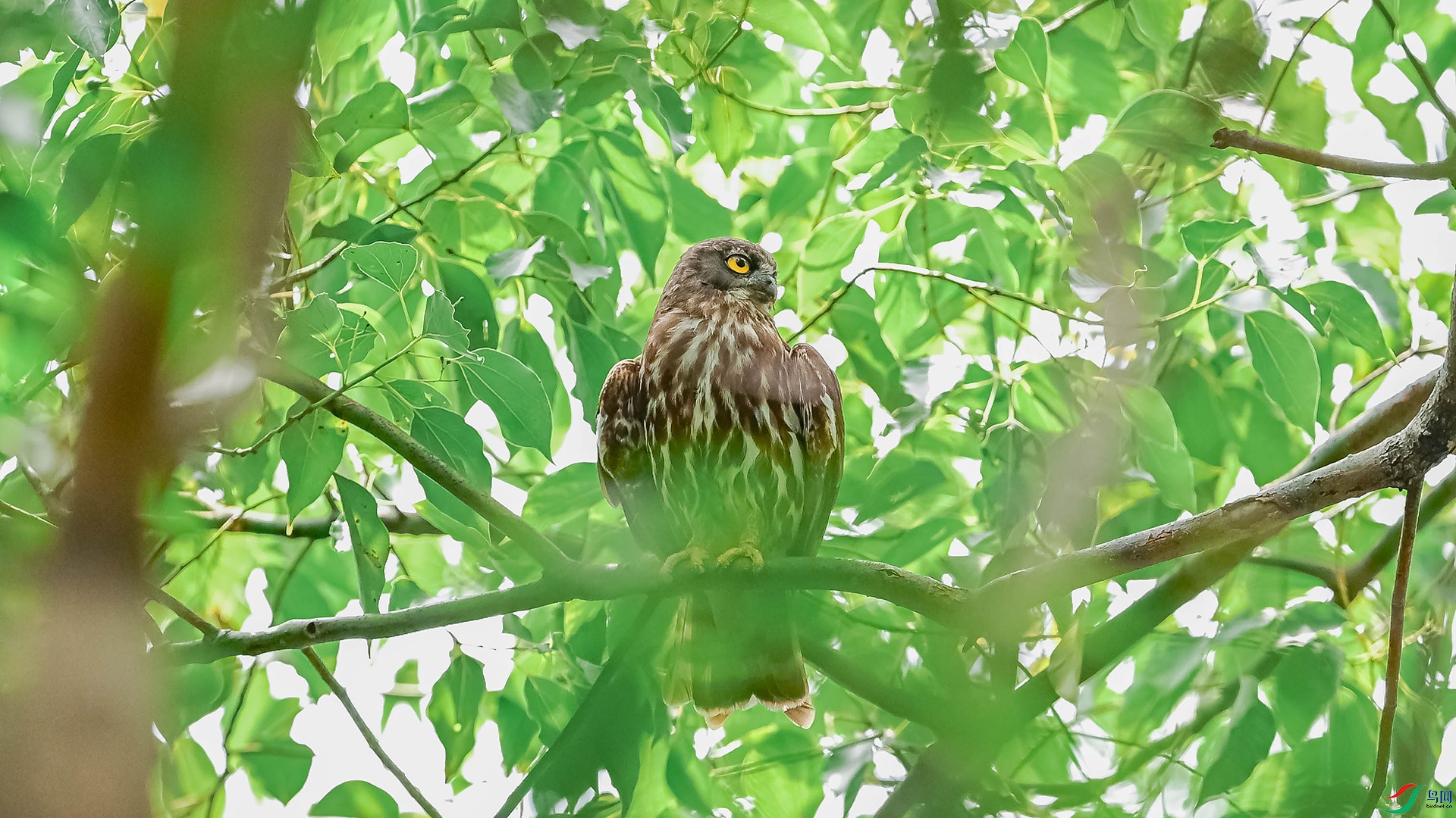 DSC_8915.jpg