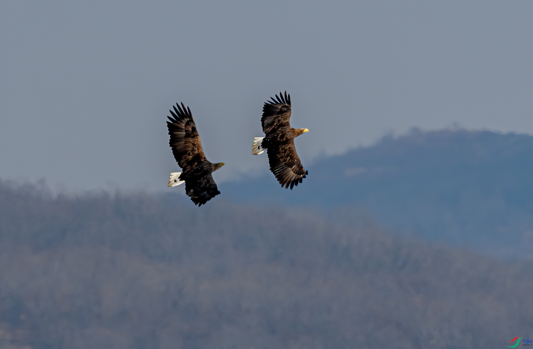_DSC1203-11.jpg