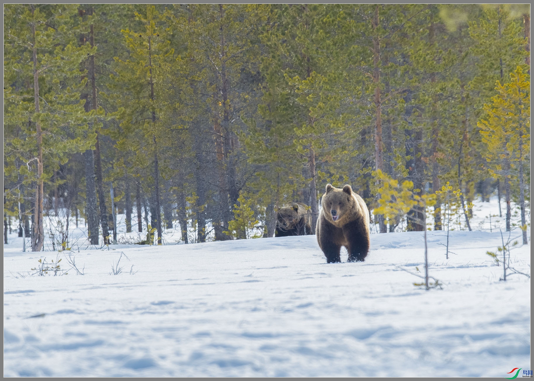 ��DSC_6454.jpg