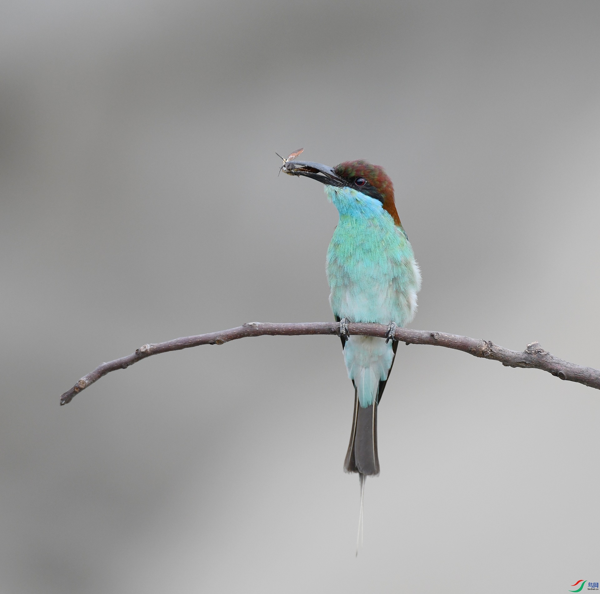 DSC_1902.jpg