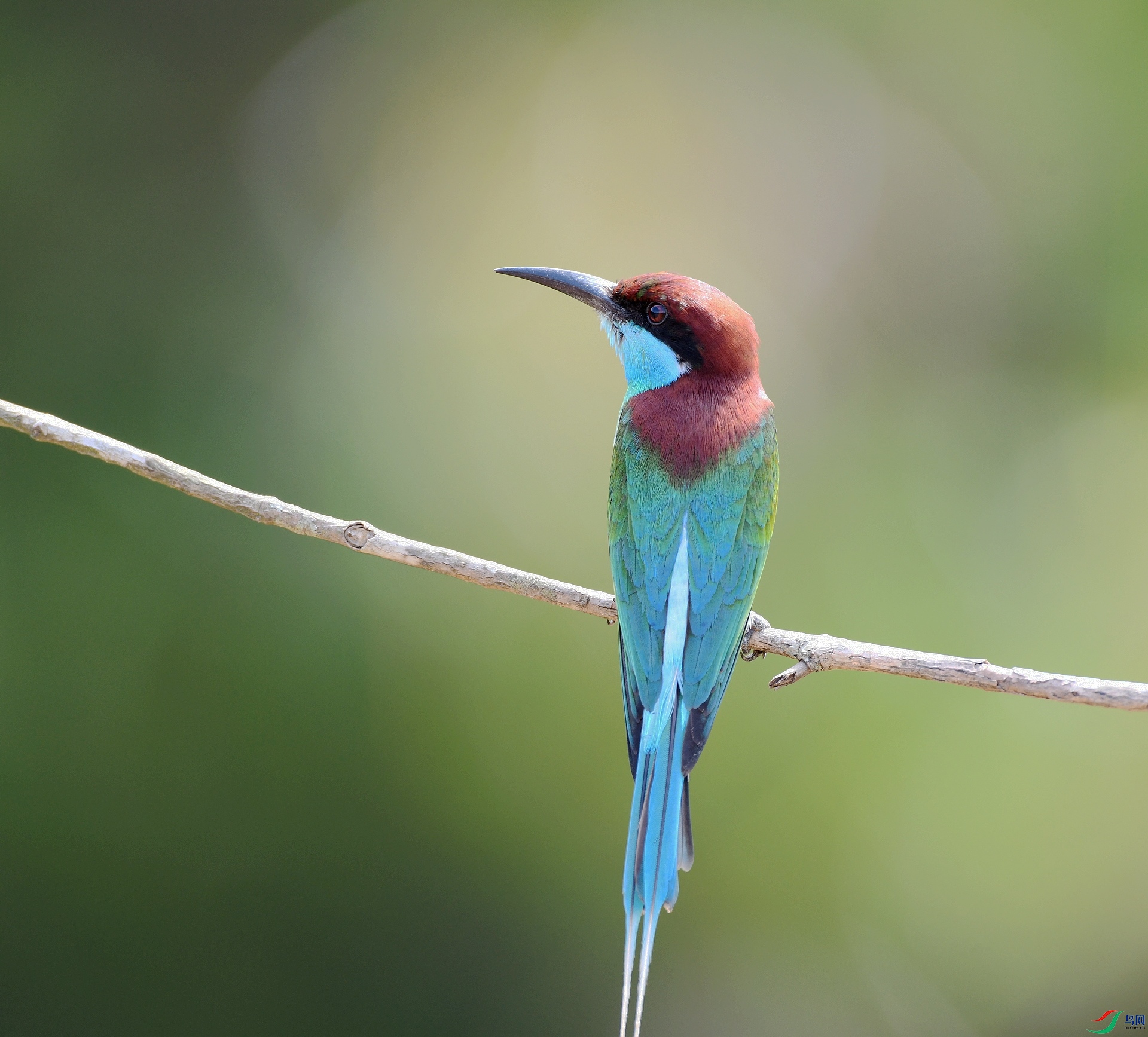 DSC_2835.jpg