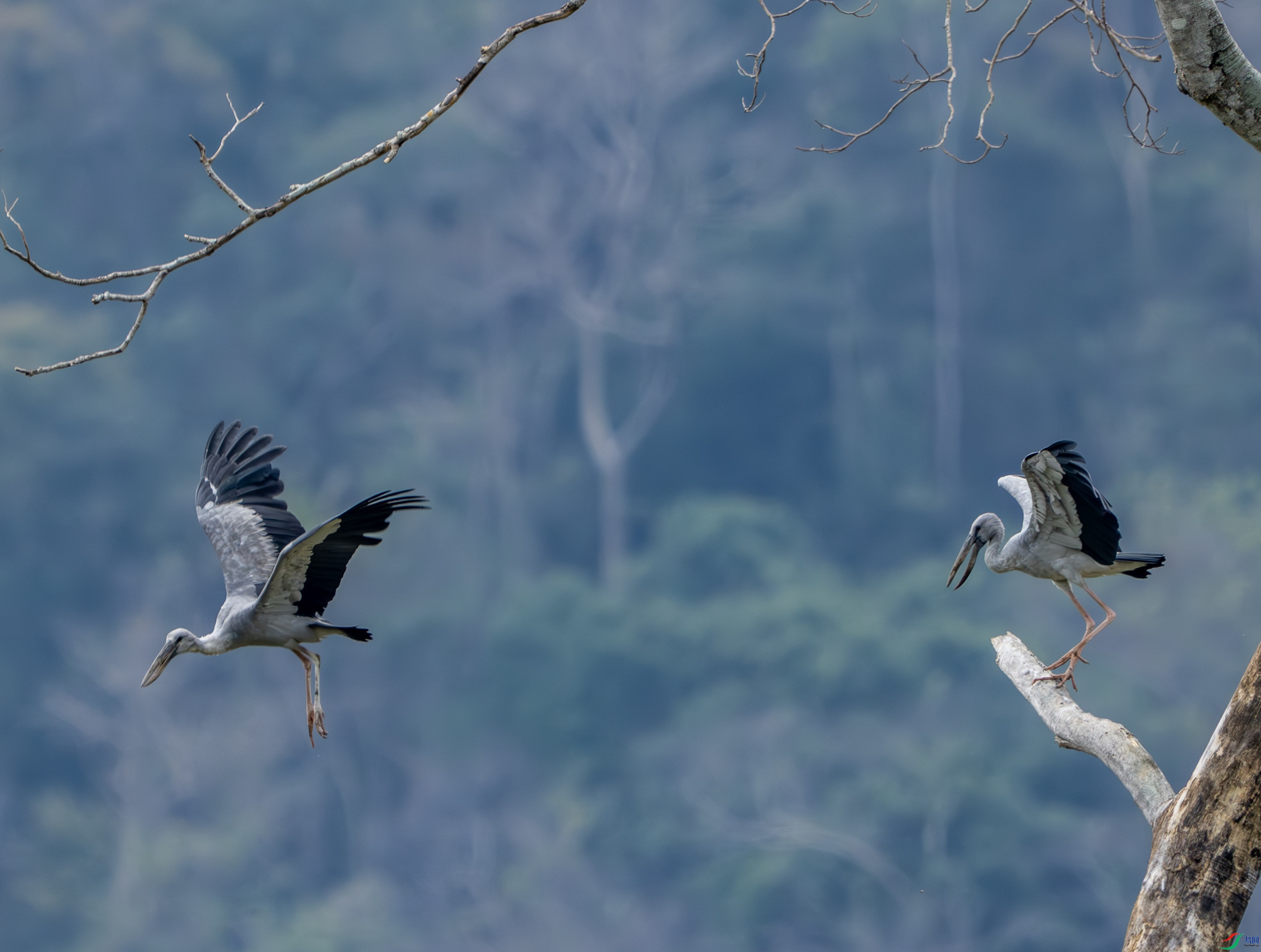 ǯ����-19-2.jpg