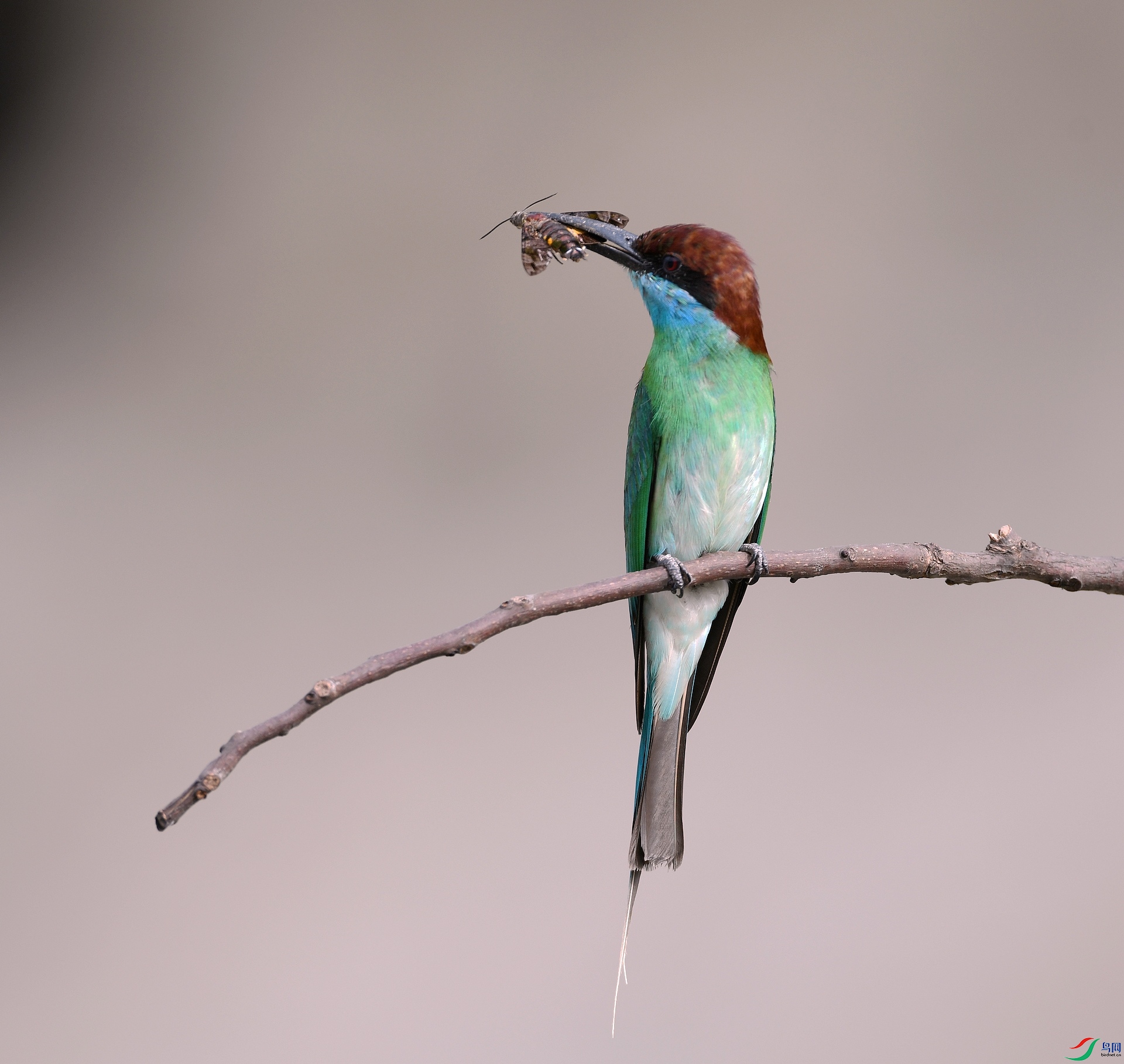 DSC_1231.jpg