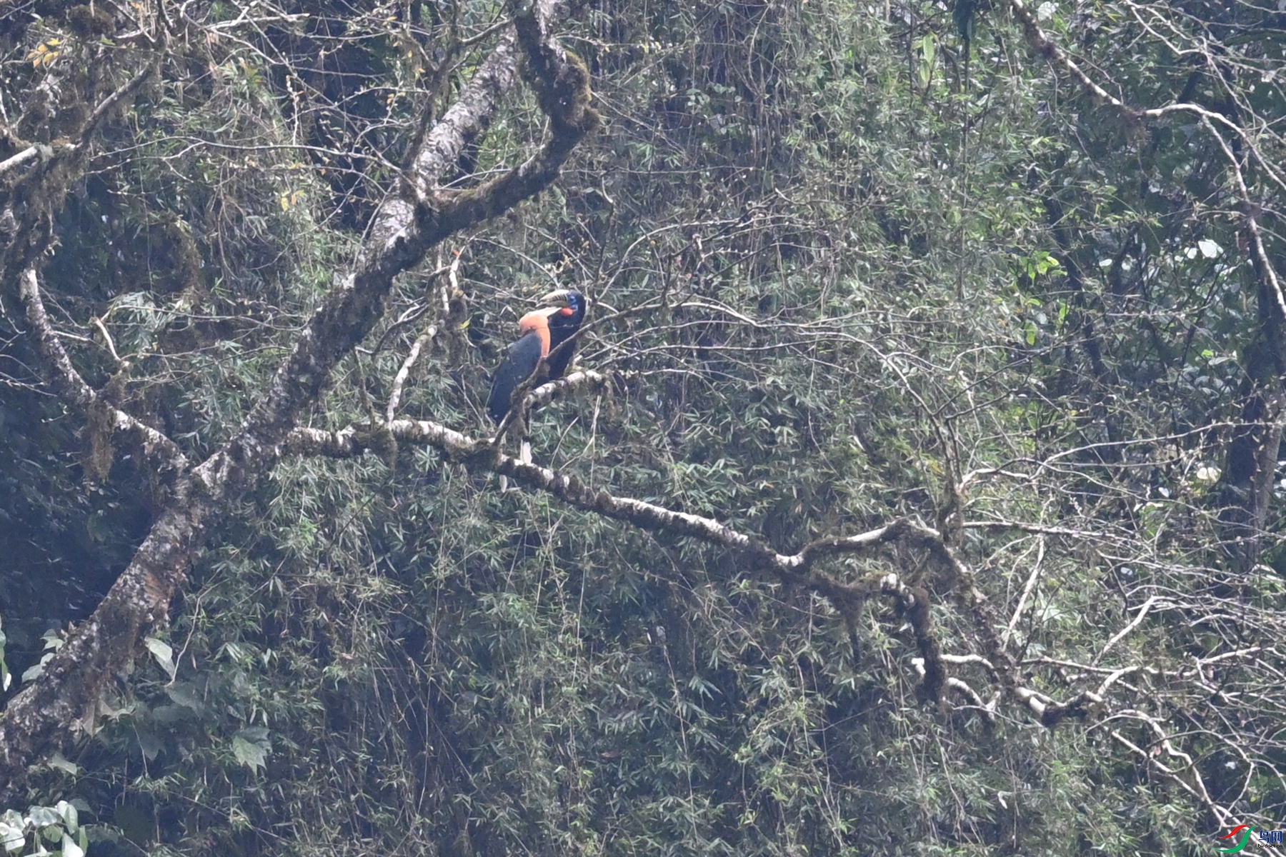 DSC_9954.JPG