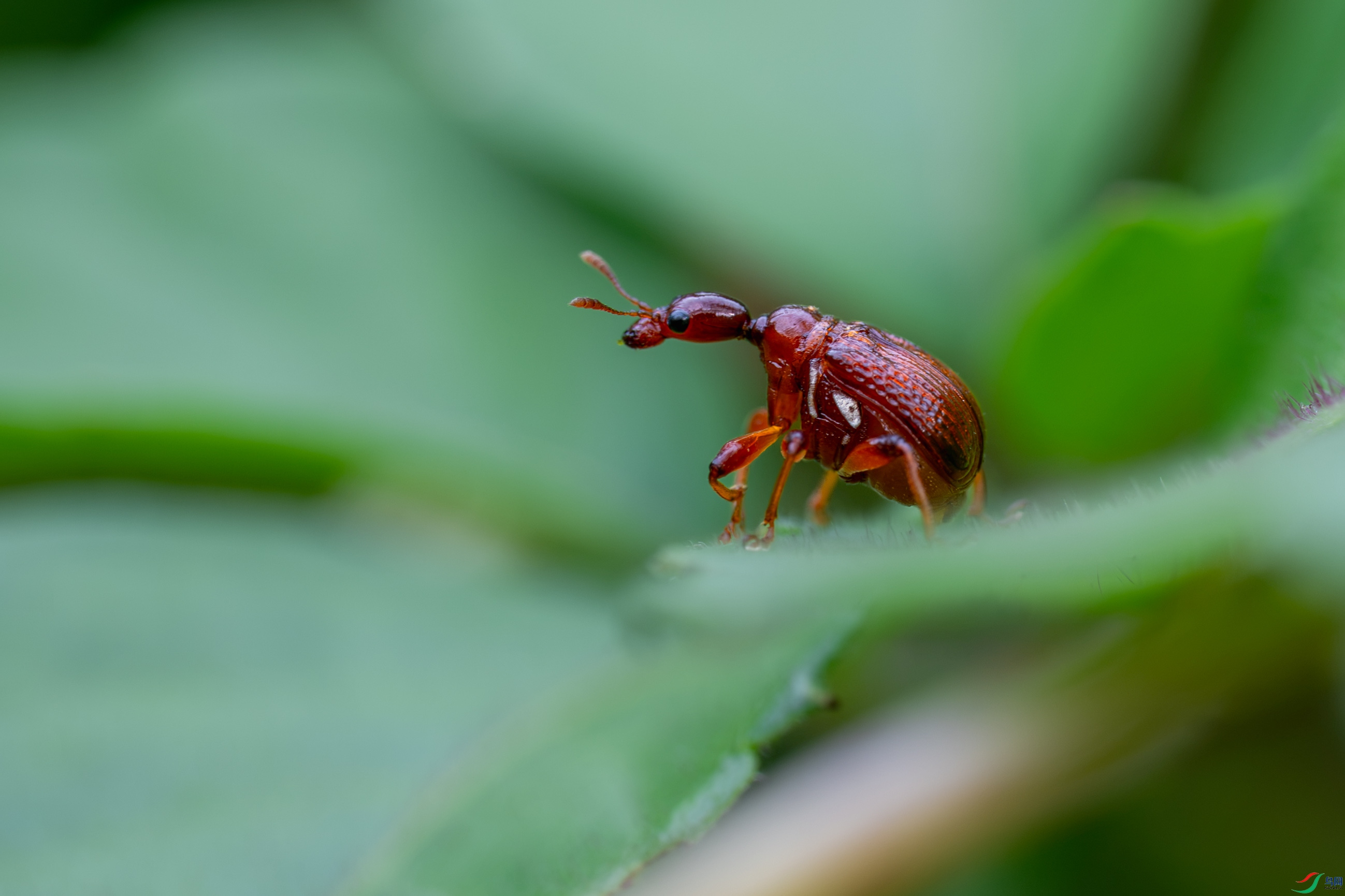 _PQG6102_1.JPG