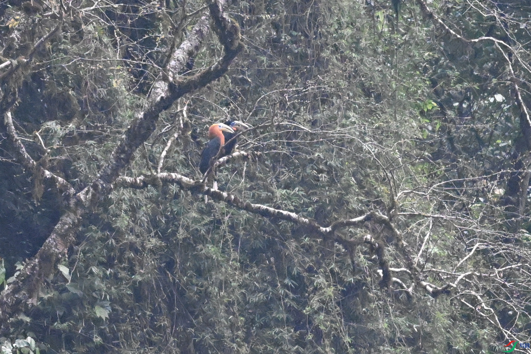 DSC_9964.JPG